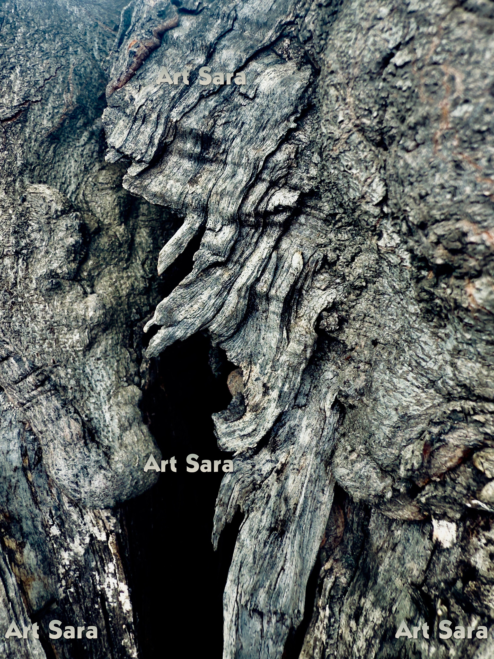 The scream of nature, infinite presence