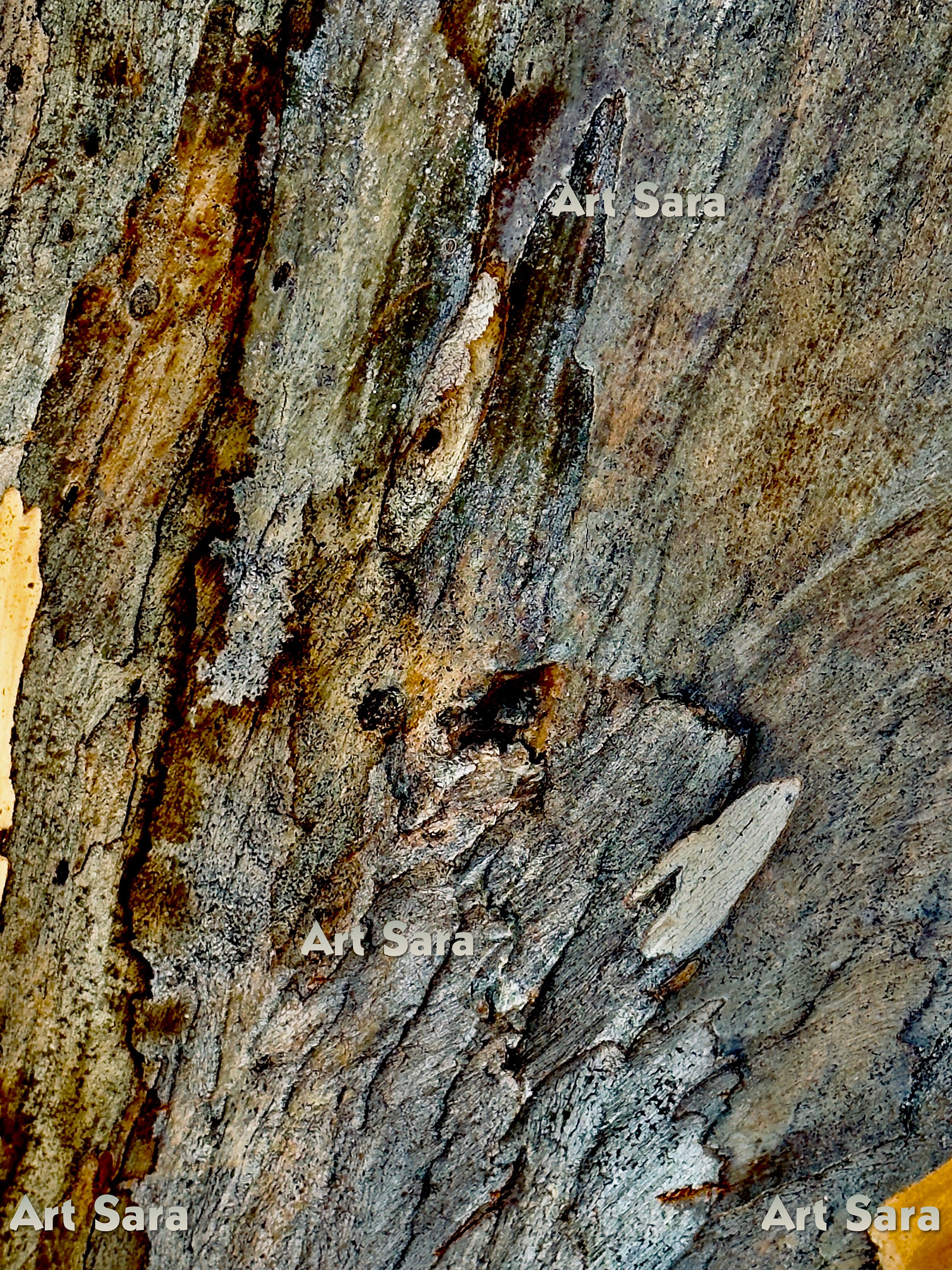 Impression of twilight zone - Euphoric