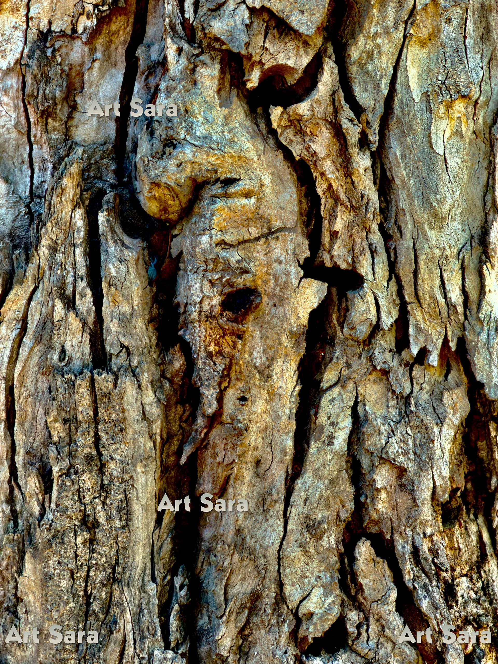 Street bird, resilient