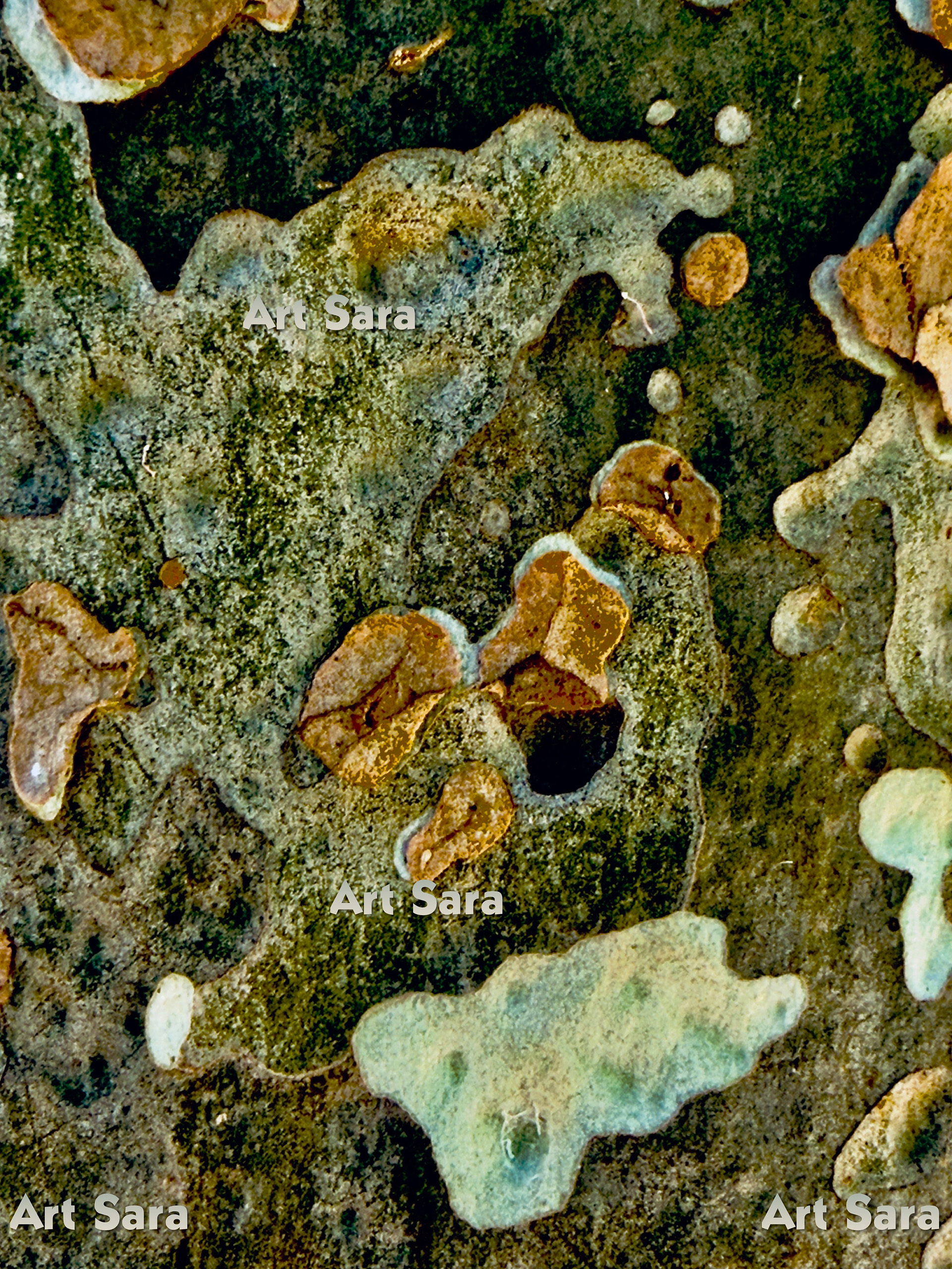 Retrospection, memories