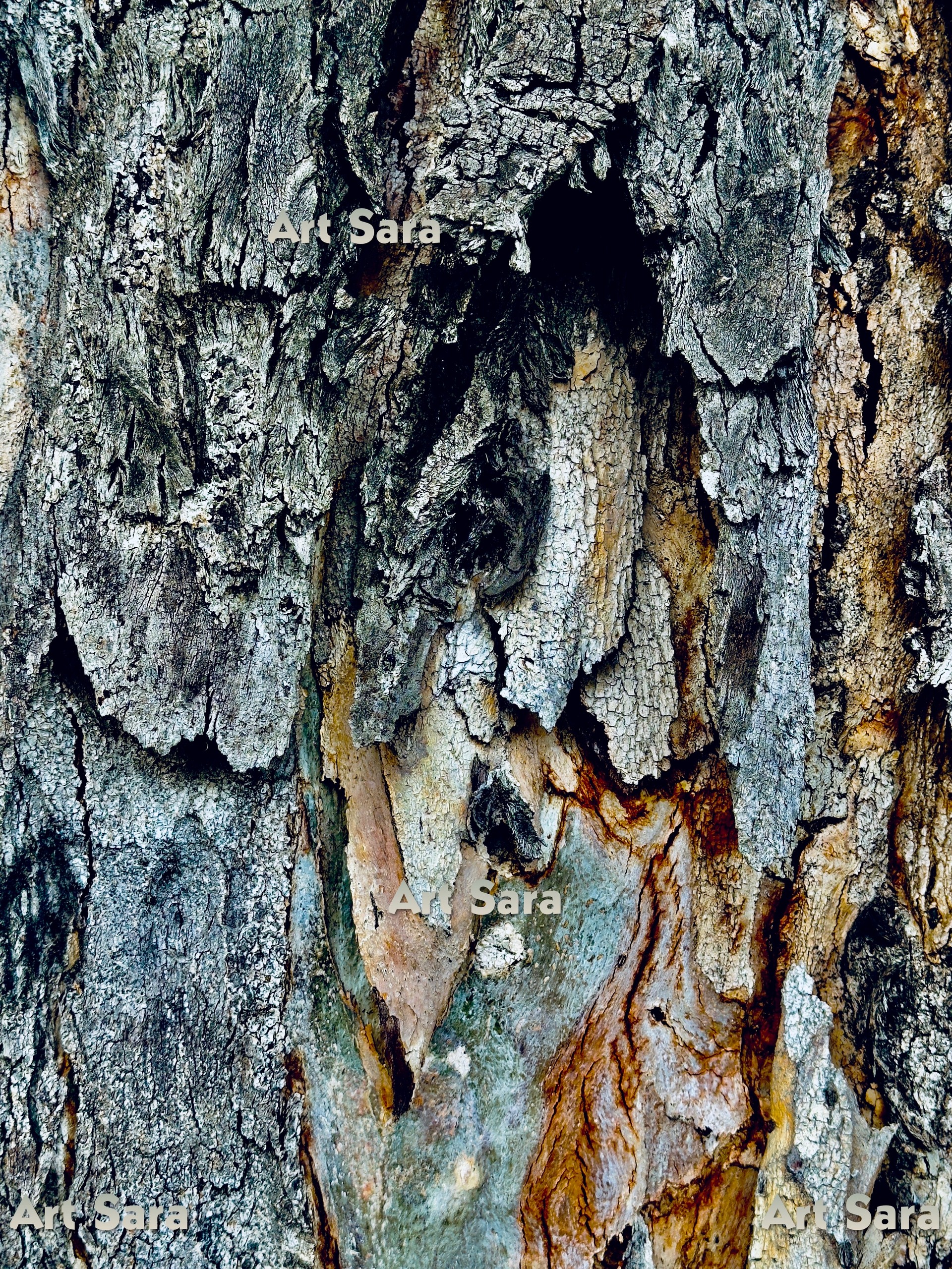 Impression of Venetian Mask, festive