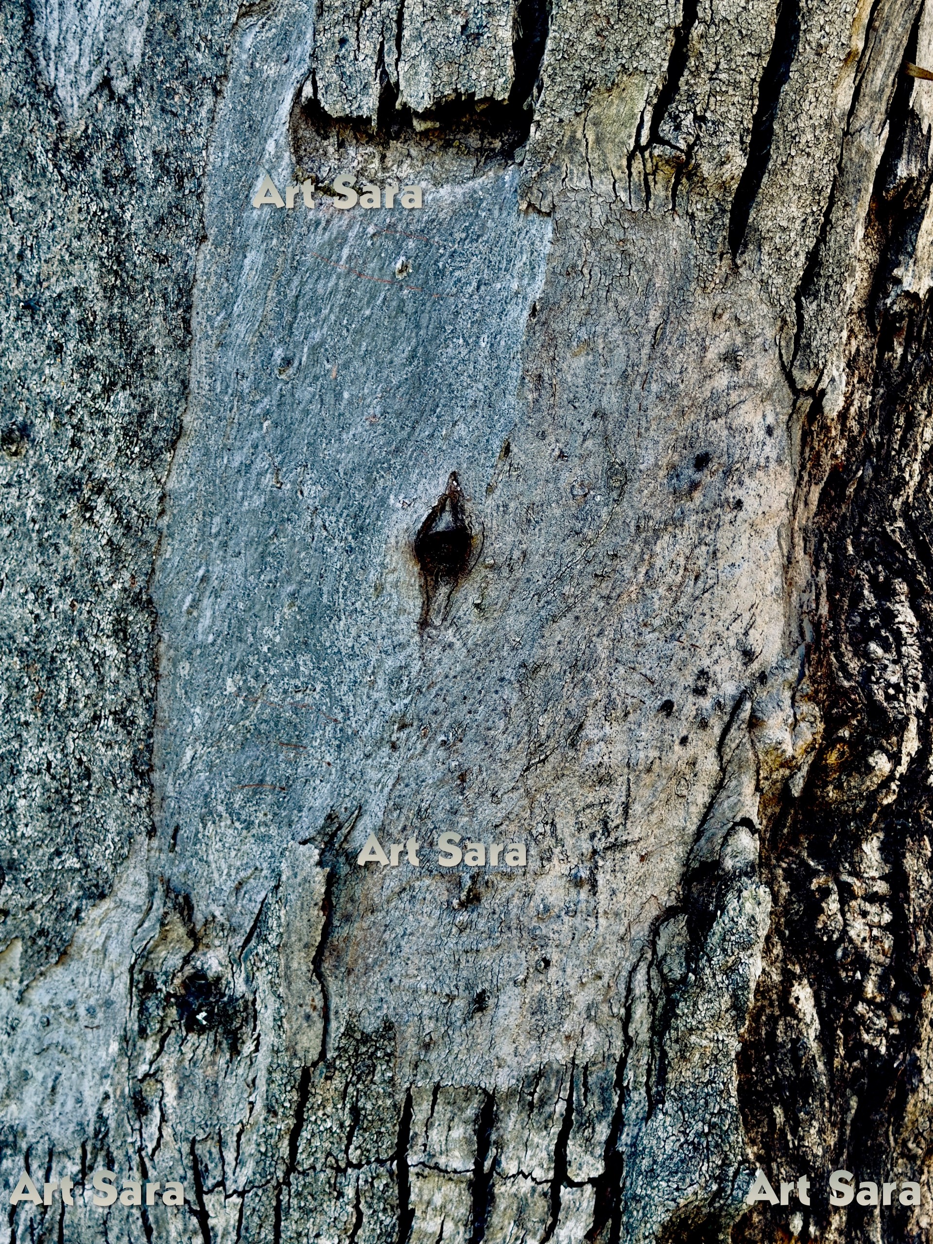 Looking inward, contemplative