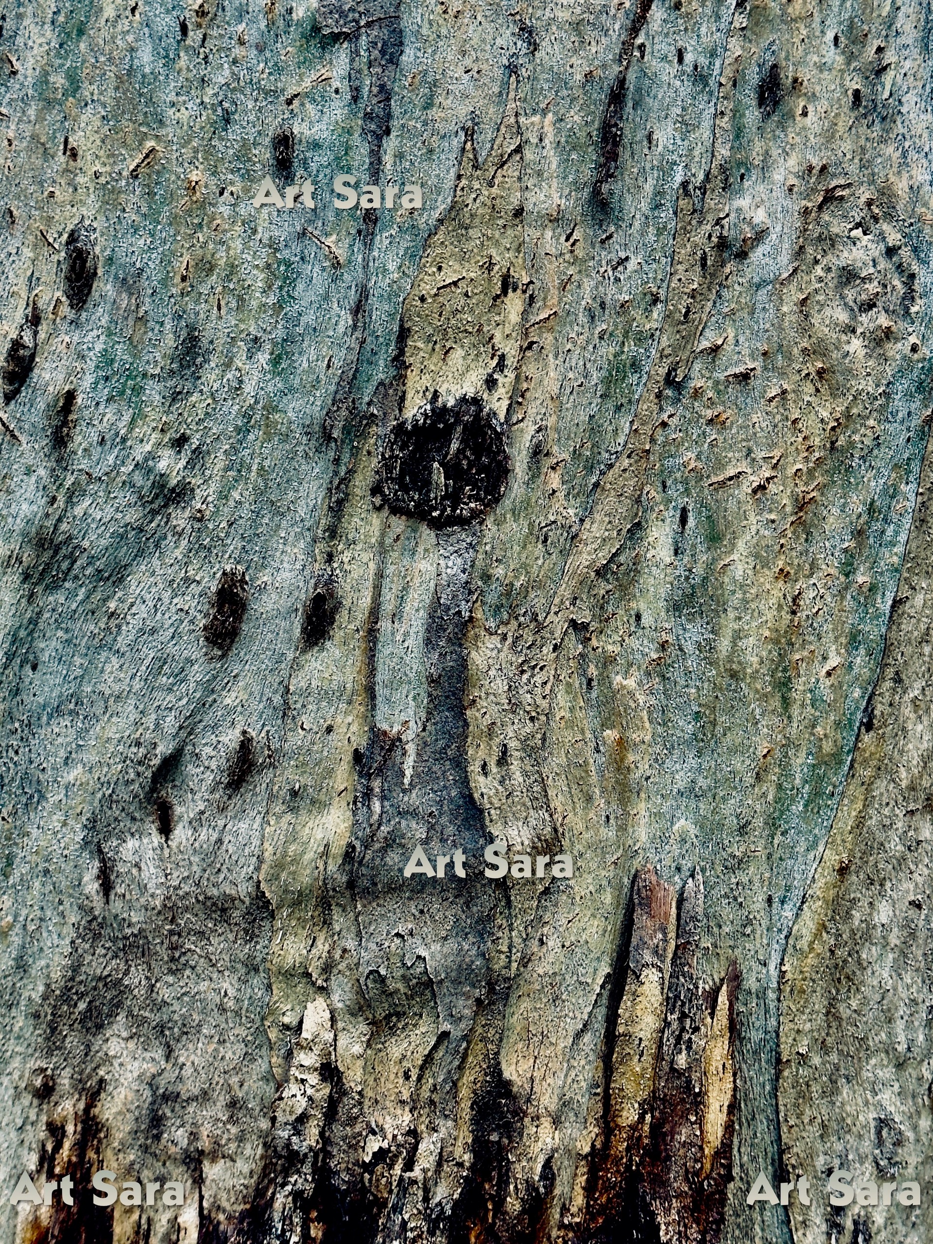 Echoes of the past, whispering