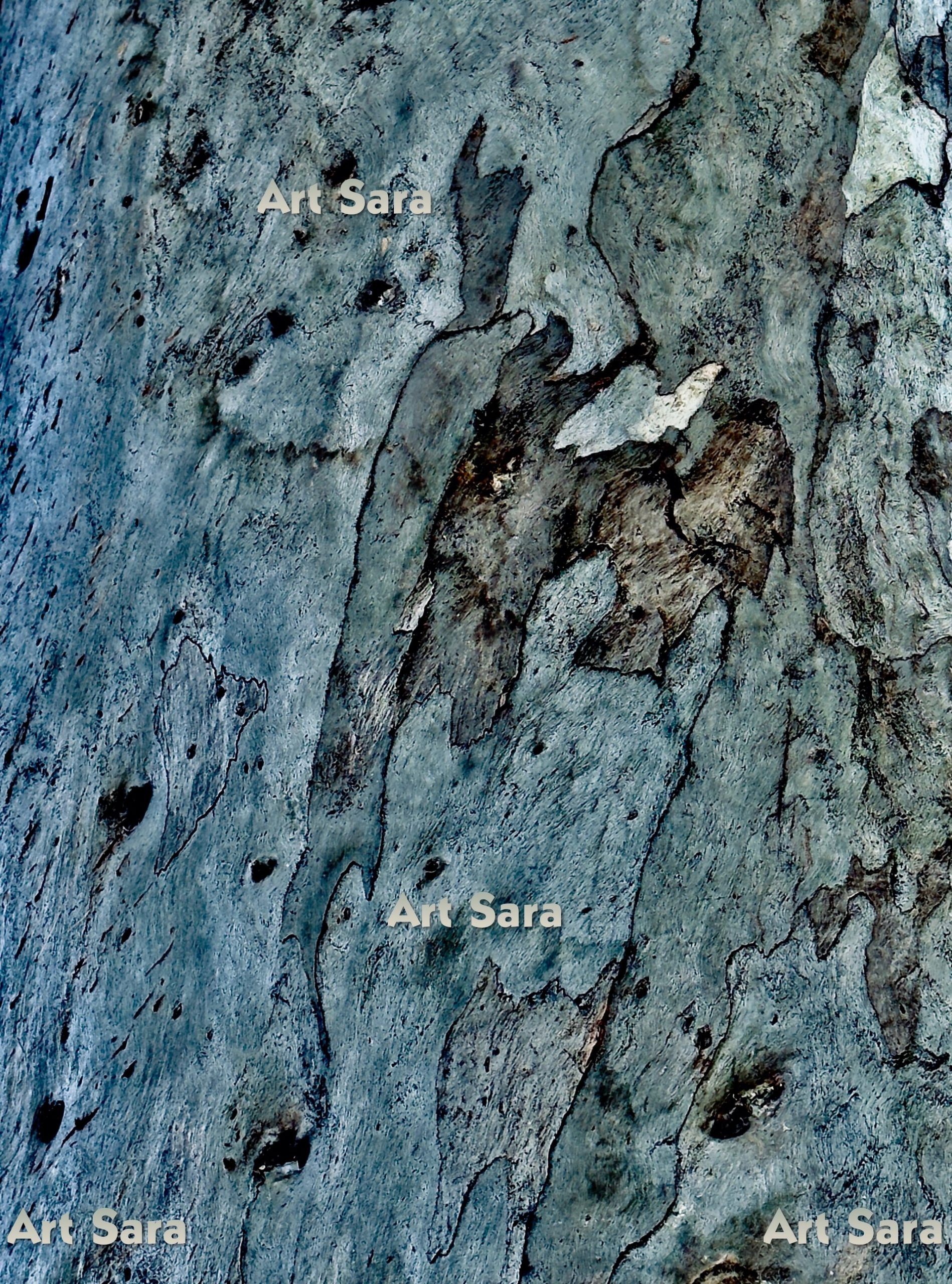 Dolphin though waves, vivid