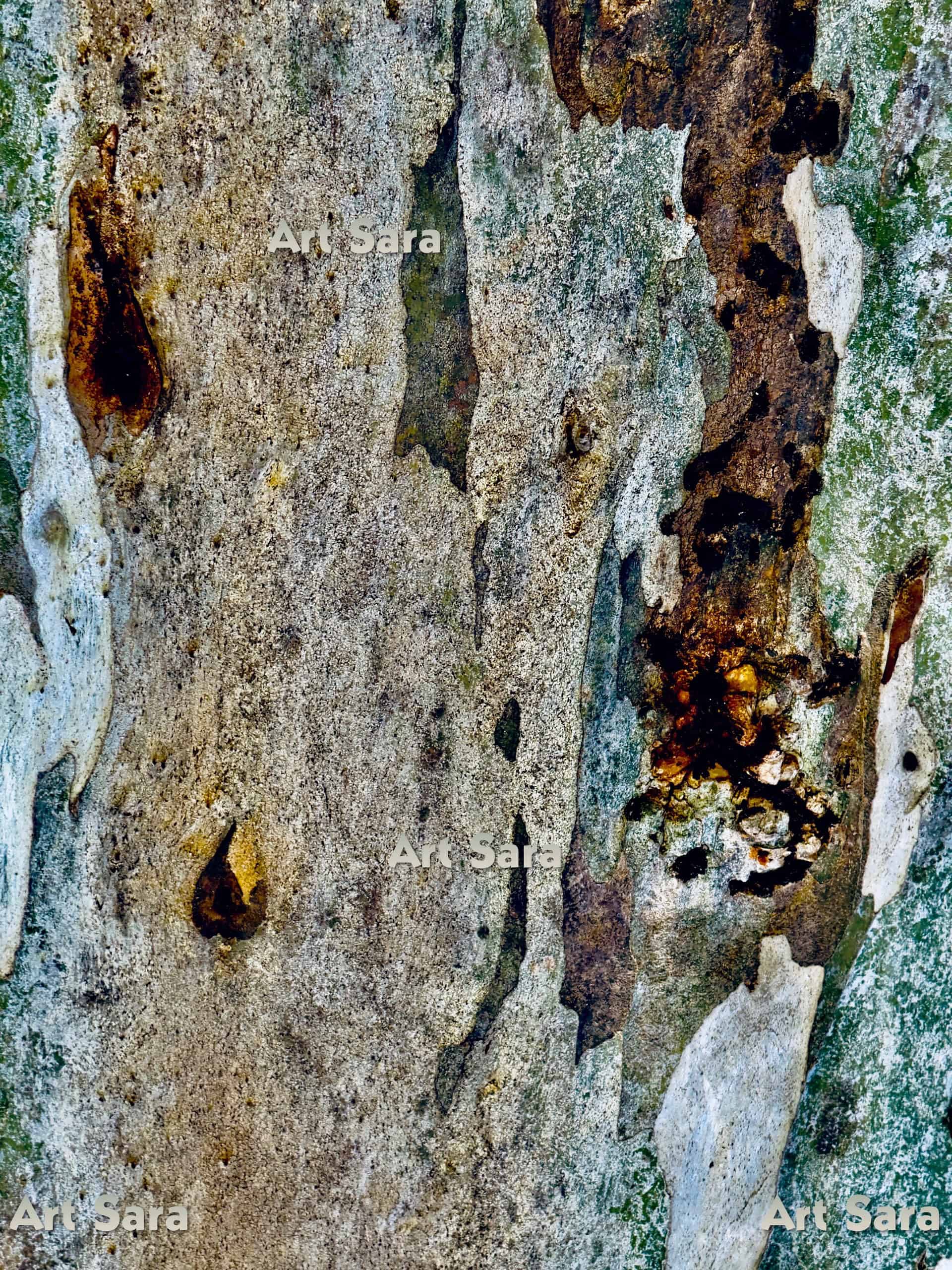 Impression of nature’s dynamism, balanced