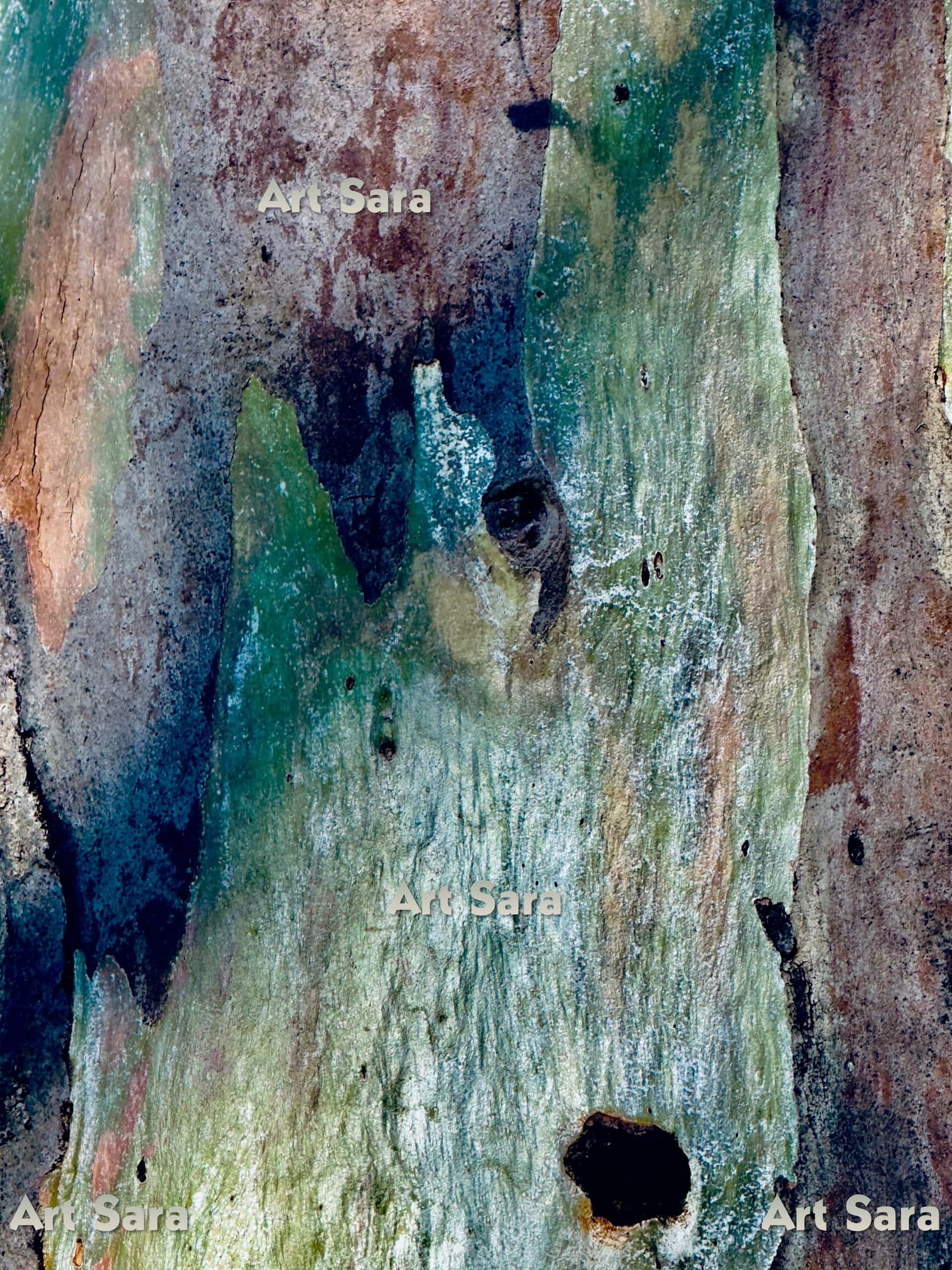 Self-reflection, my inner world