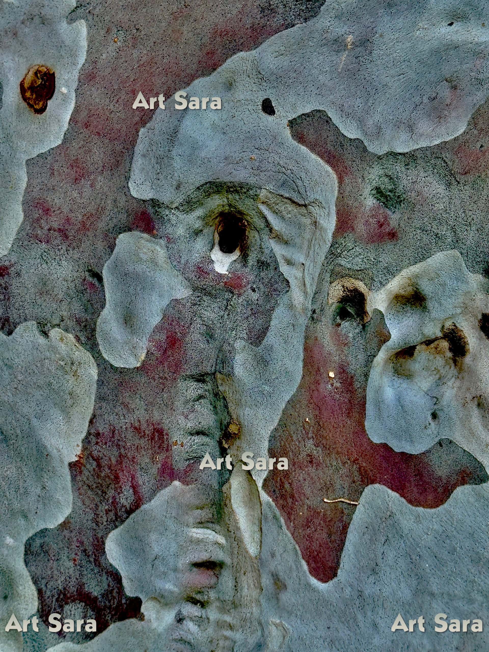 Surreal thinker, philosophical