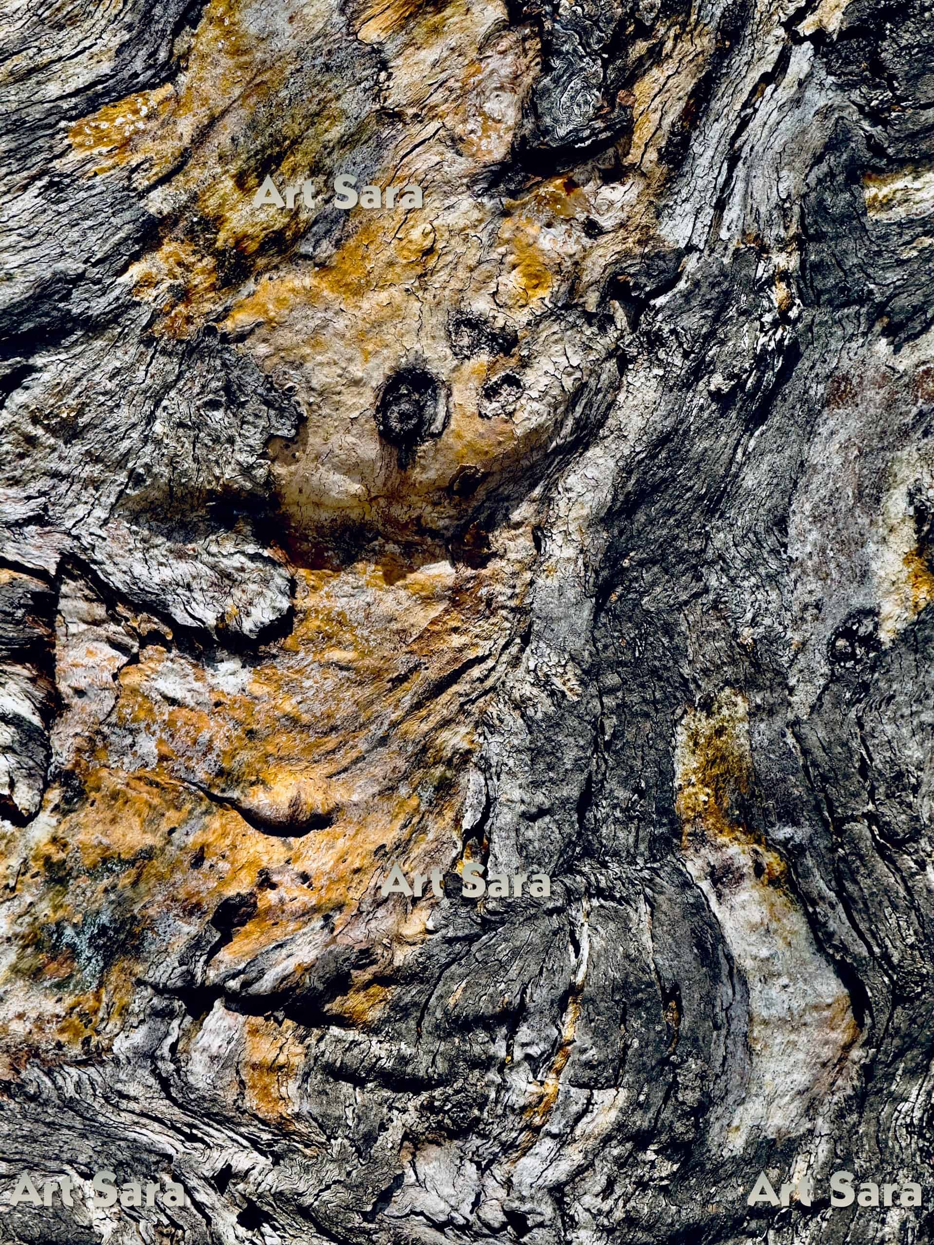 Walking your path, authentic