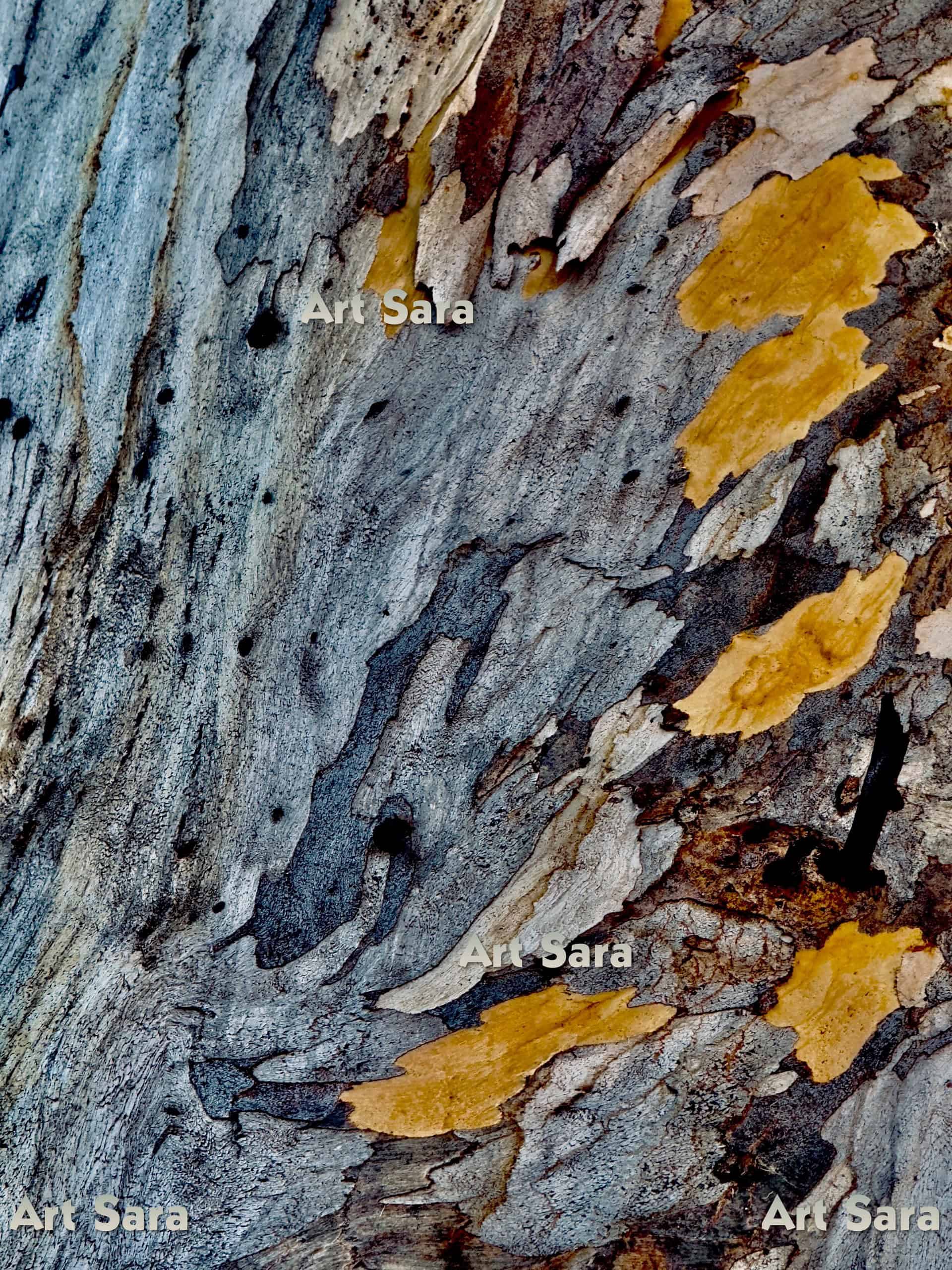 Dynamism of burning flame, passionate