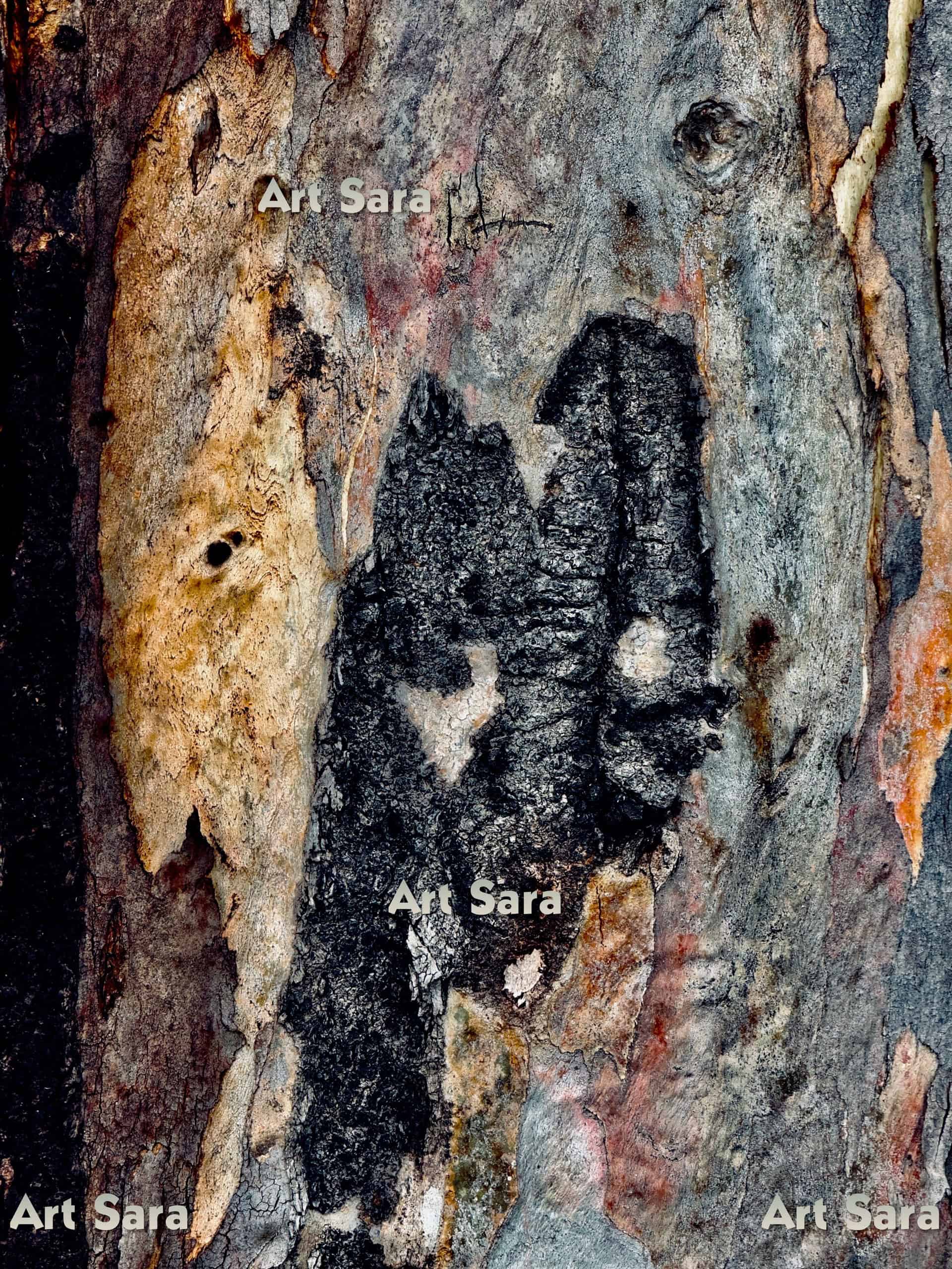 In search of your true self, evolving