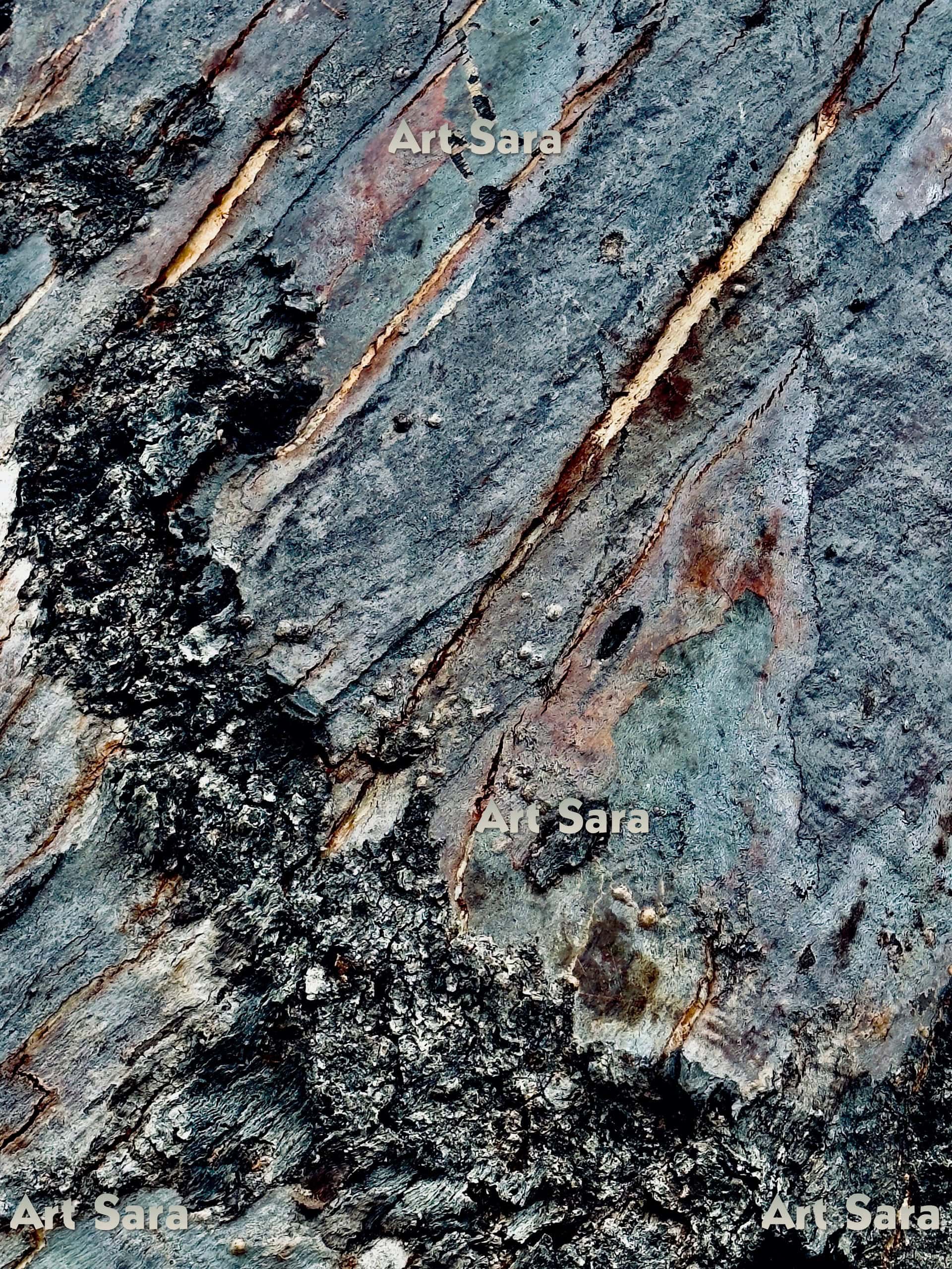 Moon landing, groundbreaking