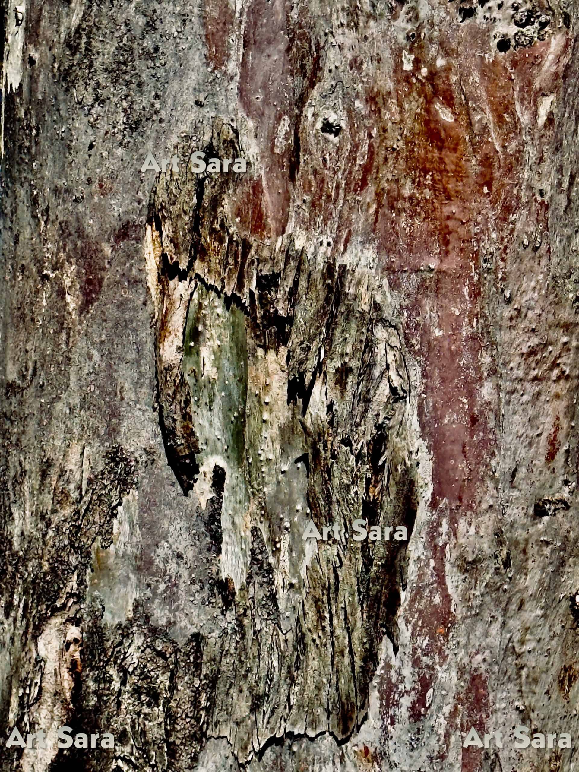 Fallen bird in mid-flight, evocative