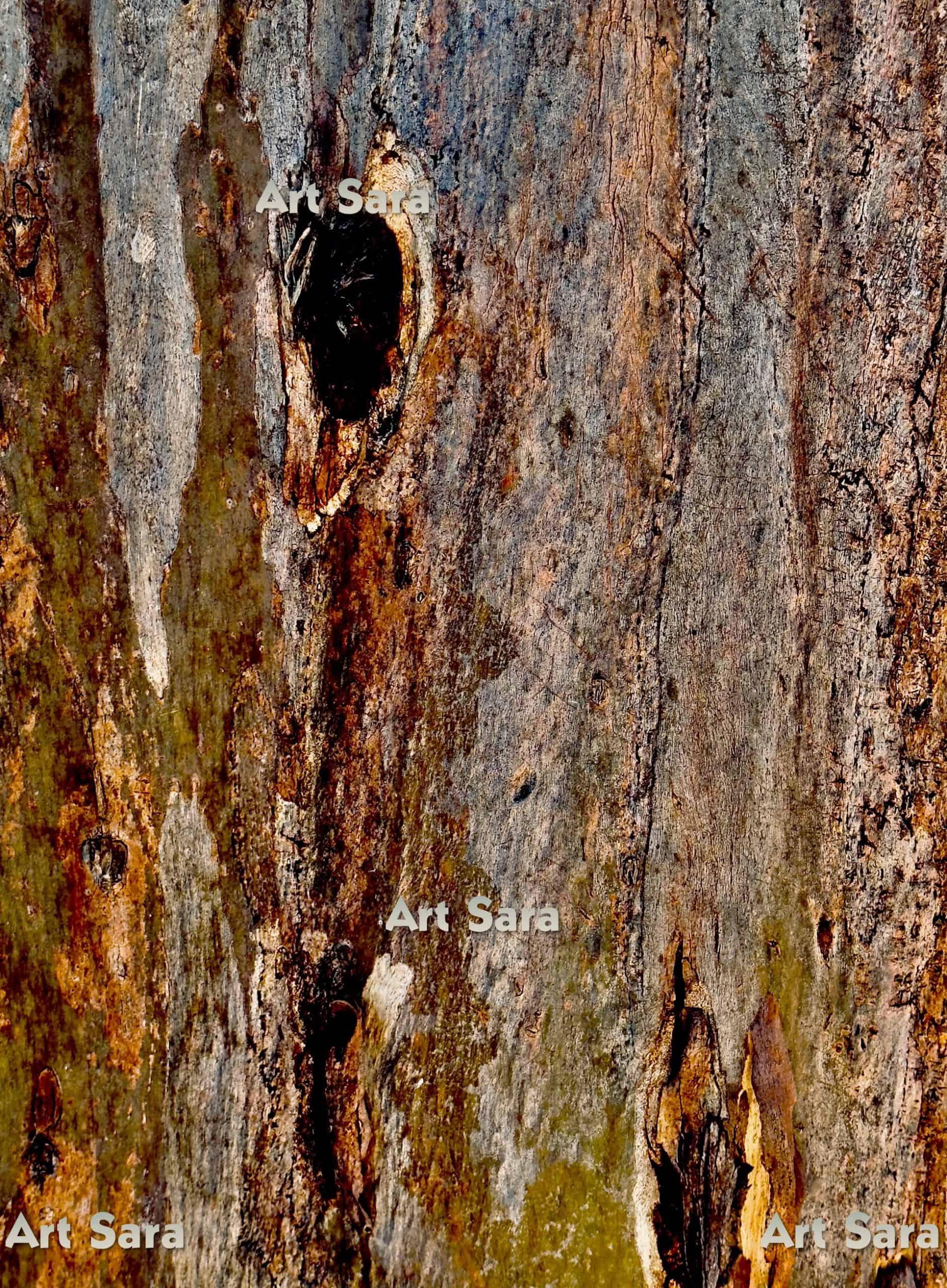 My reflections, personal growth