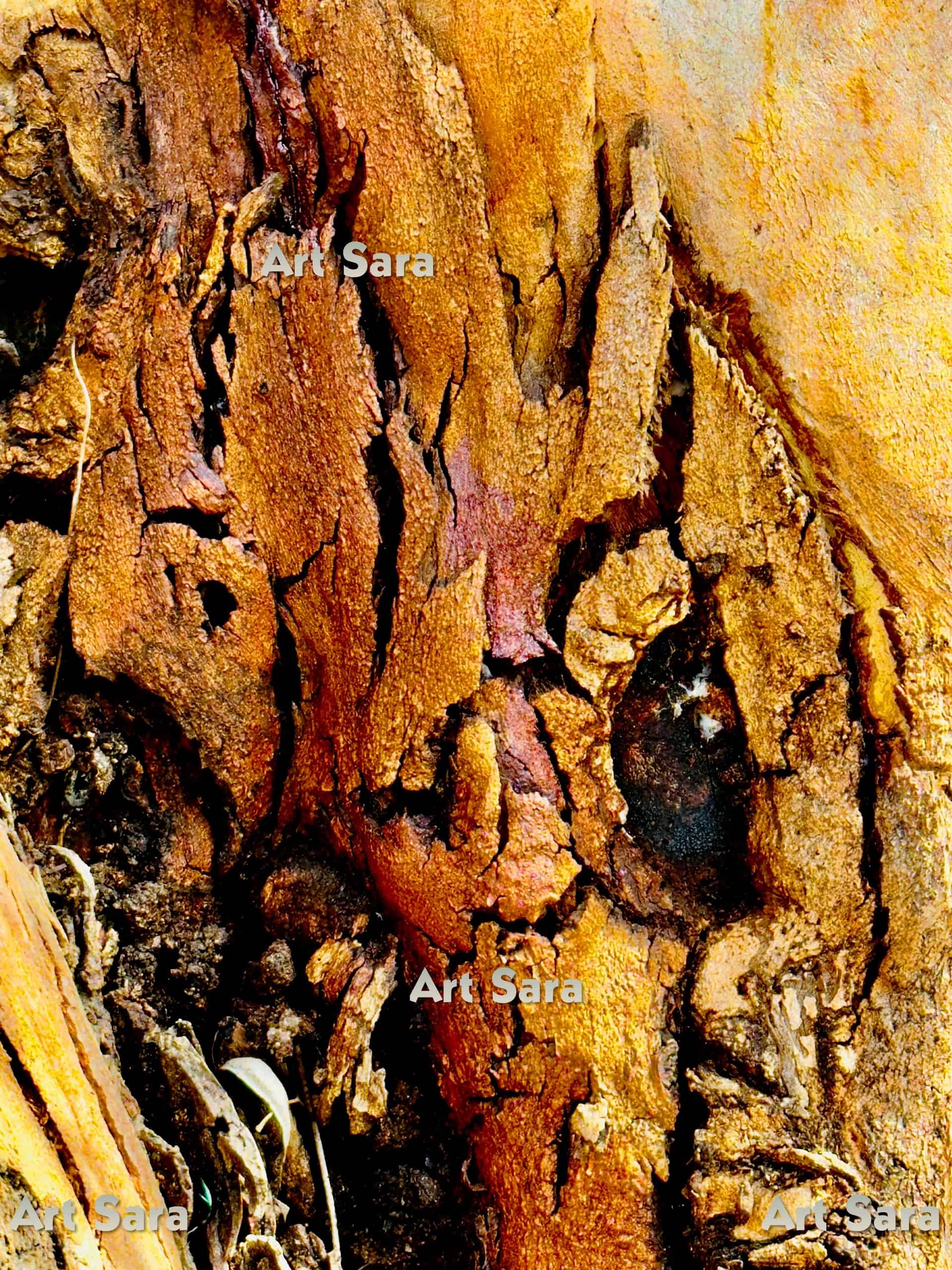 Infant-mother bond, emotional