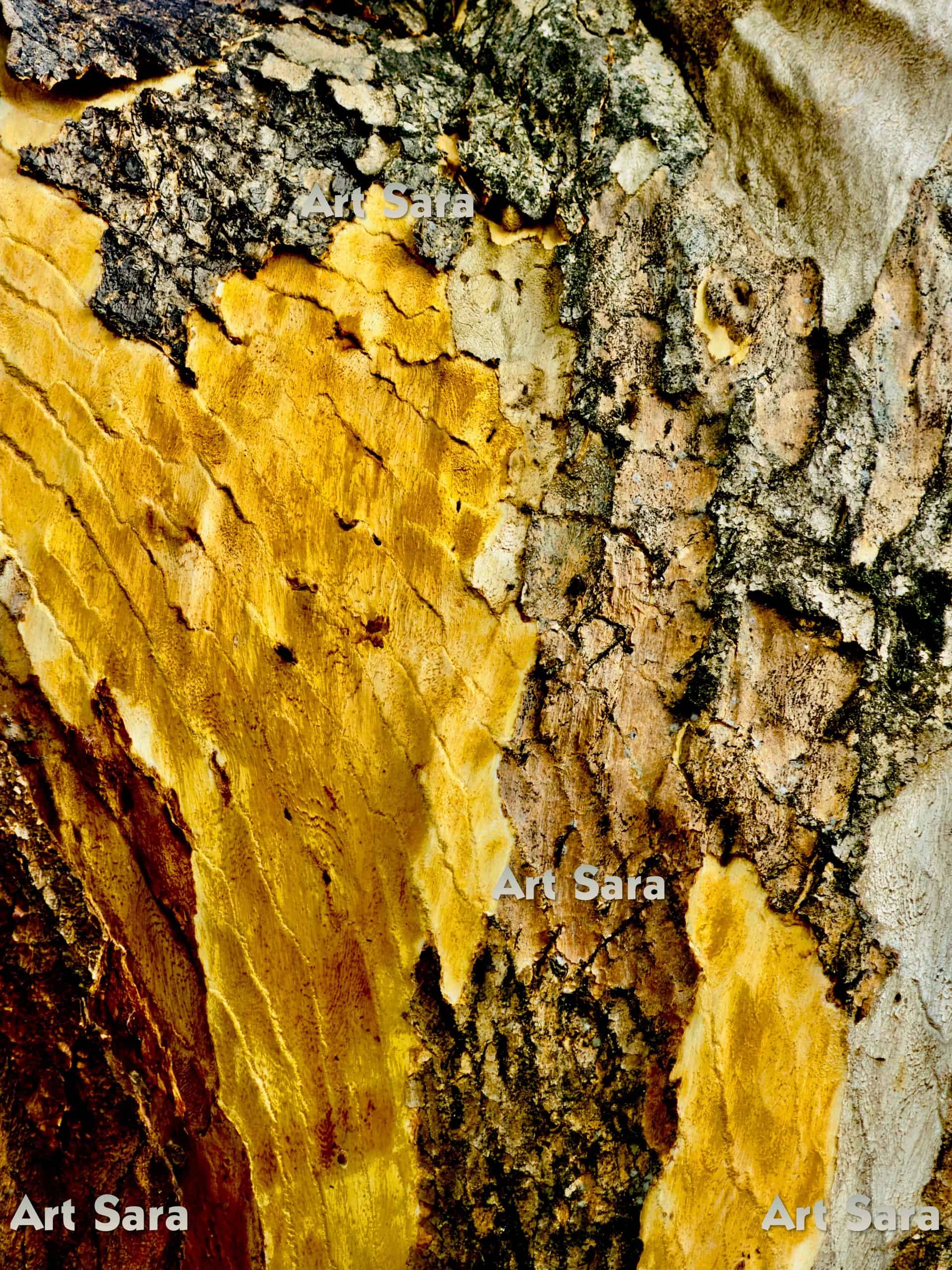 Finding yourself, deeply