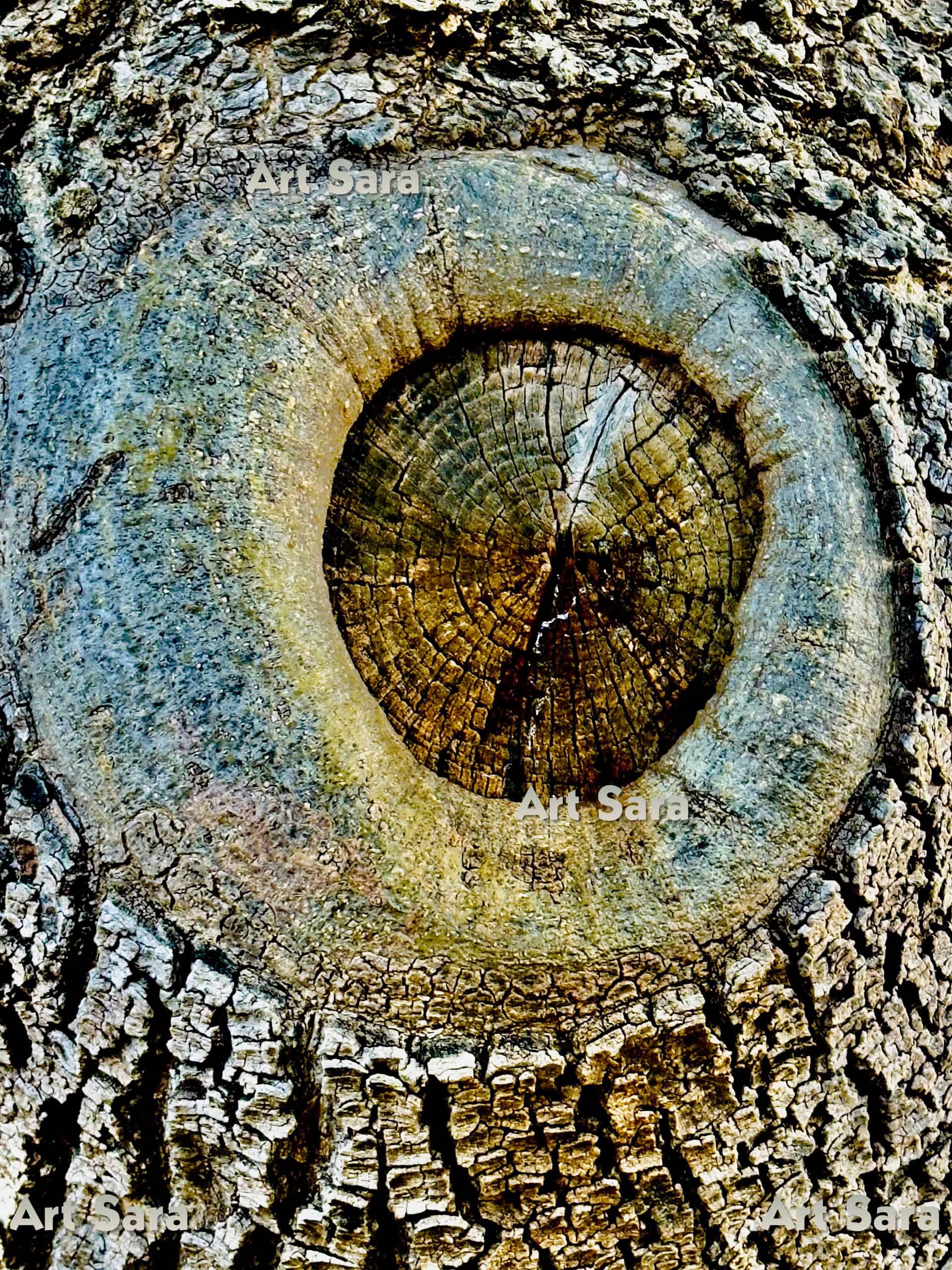 Eye of intuition, visionary