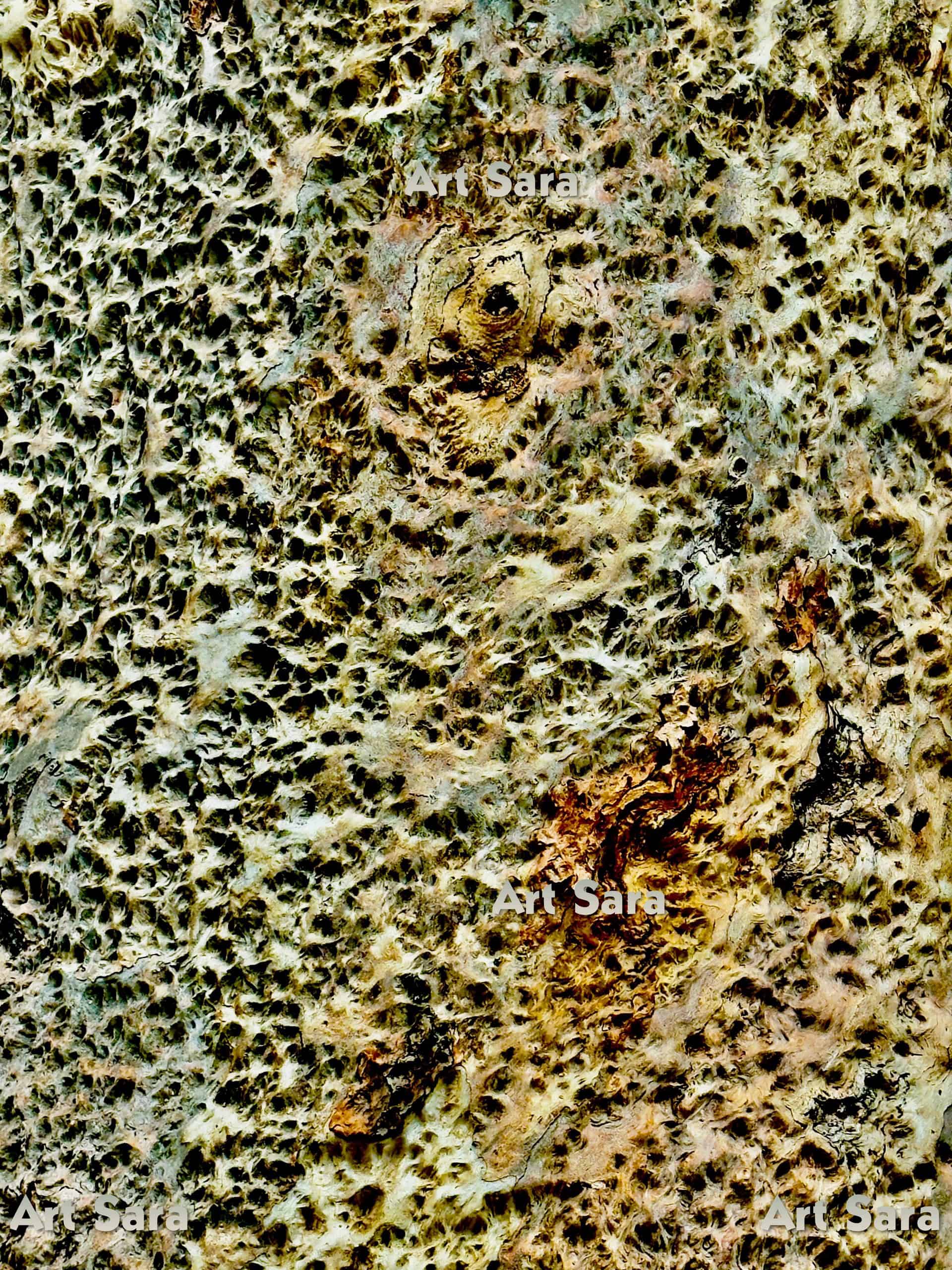 Dynamism - Psyche, enlightened