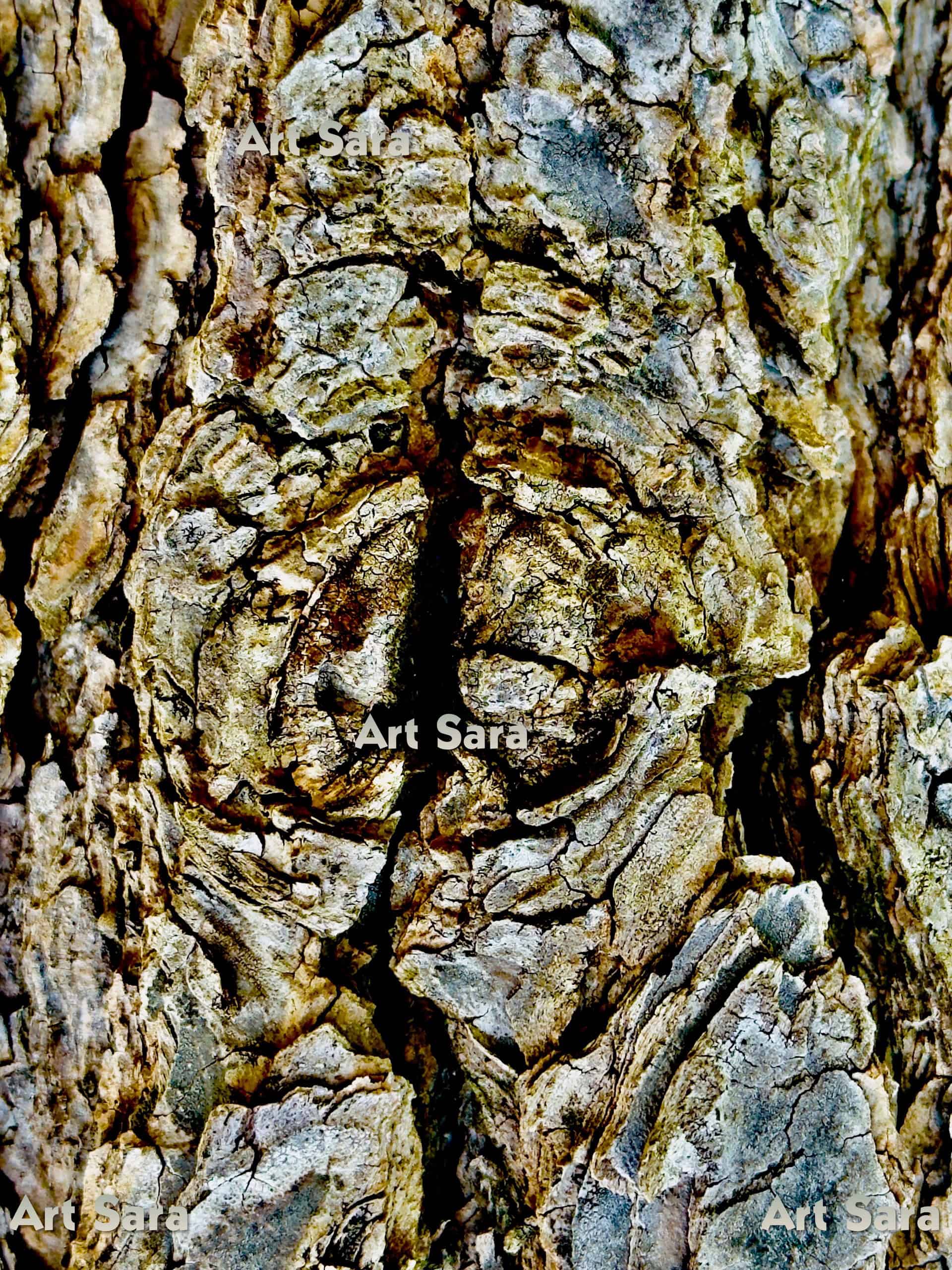 Earthquake energy release, impact