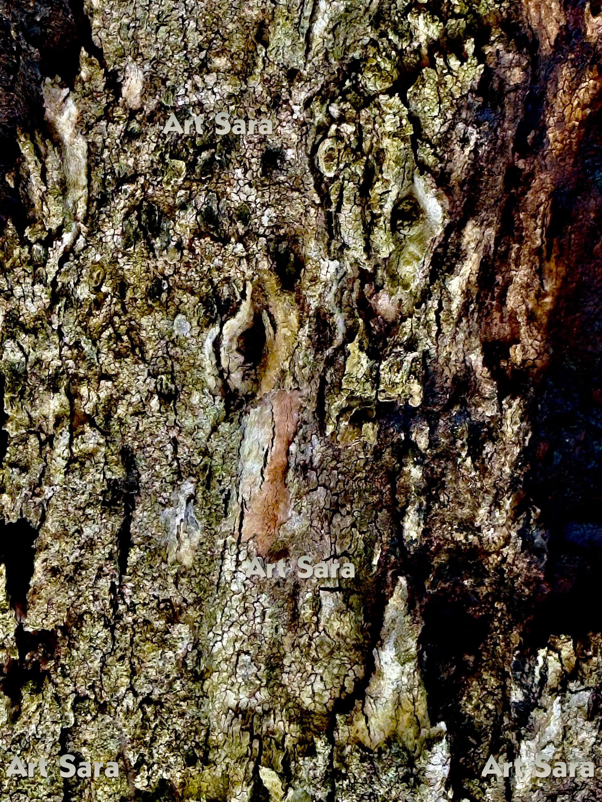 Dream-like reconciliation, peace