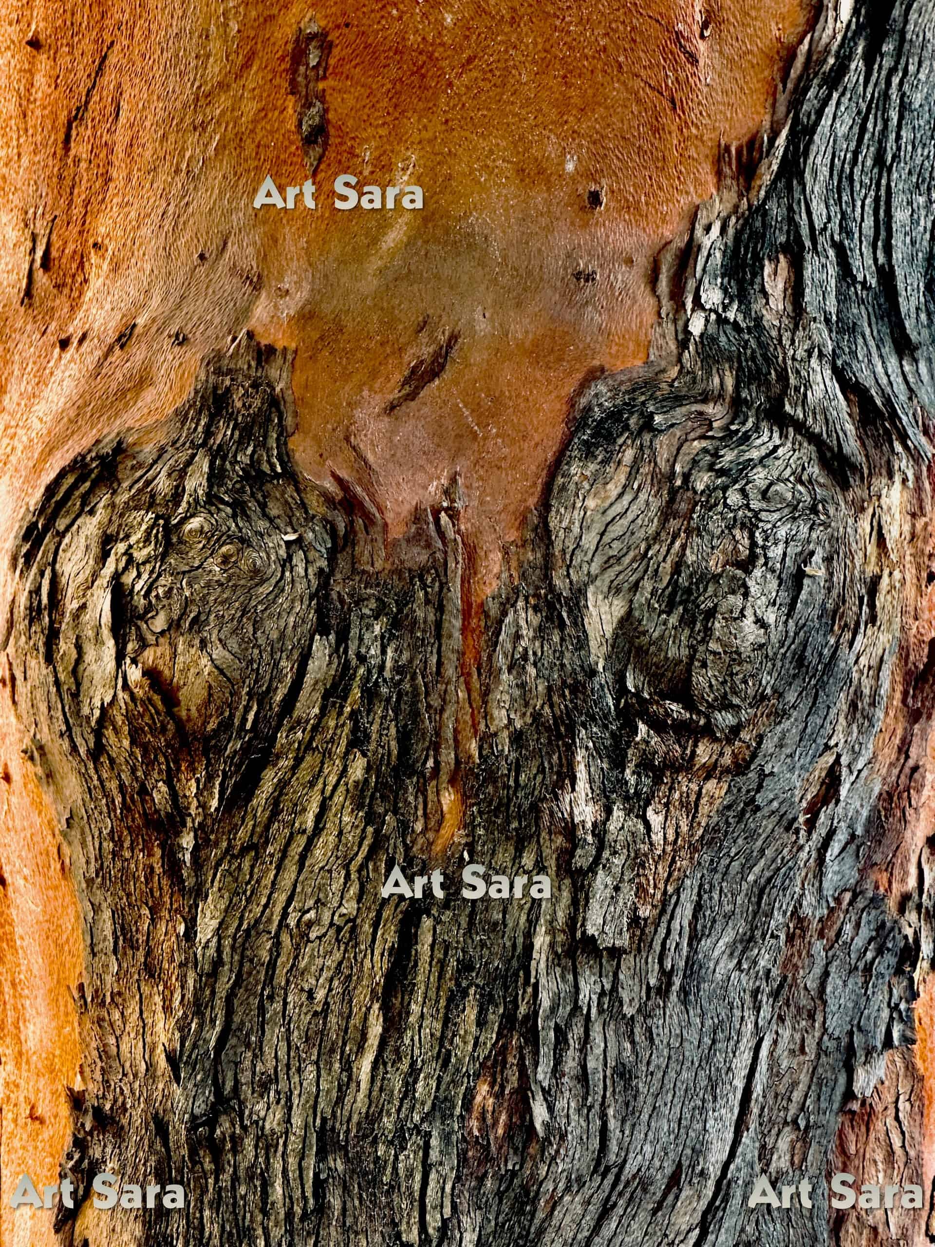 Woman torso, Venus - serene