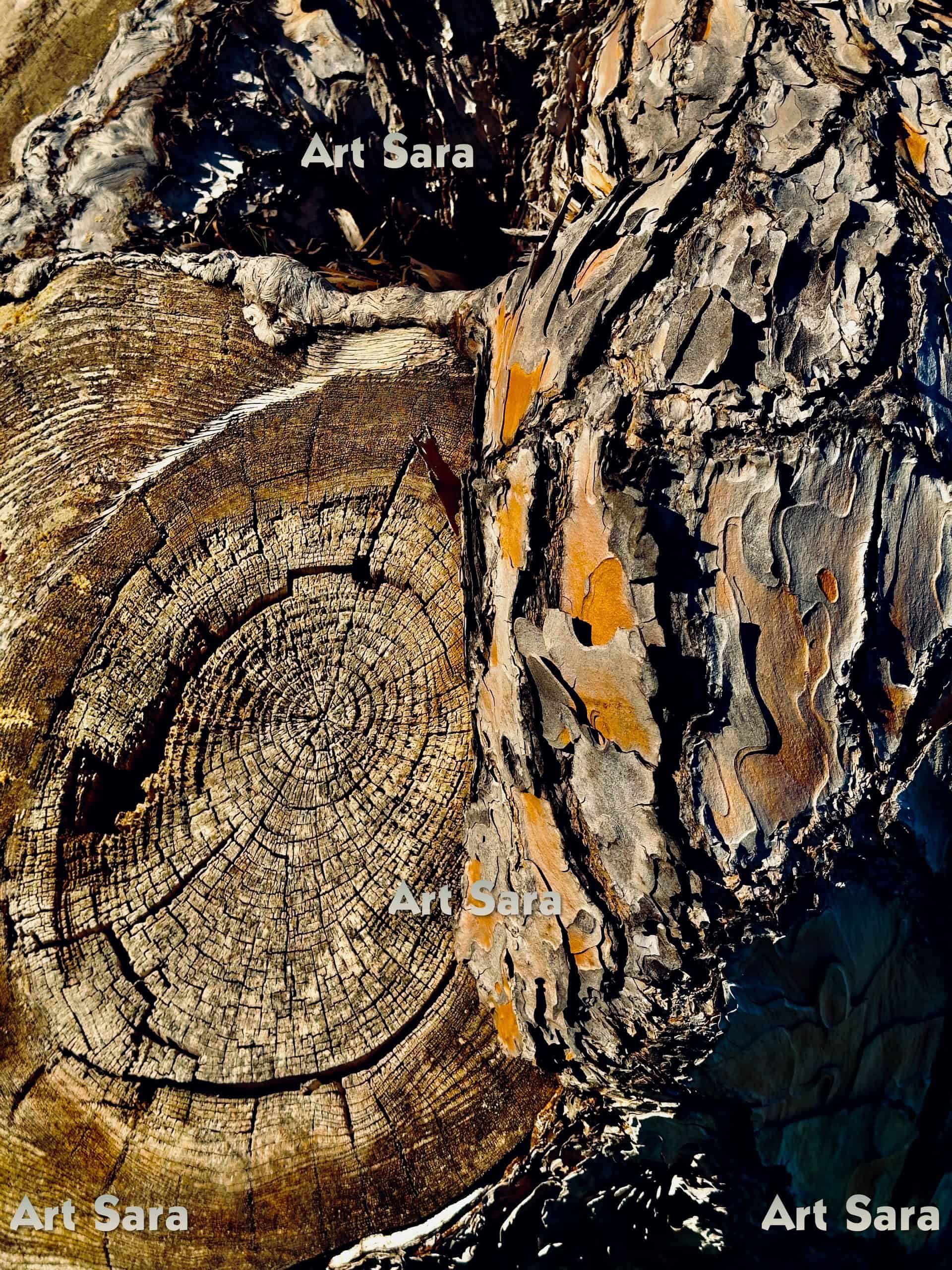 Imagined waterways, futuristic