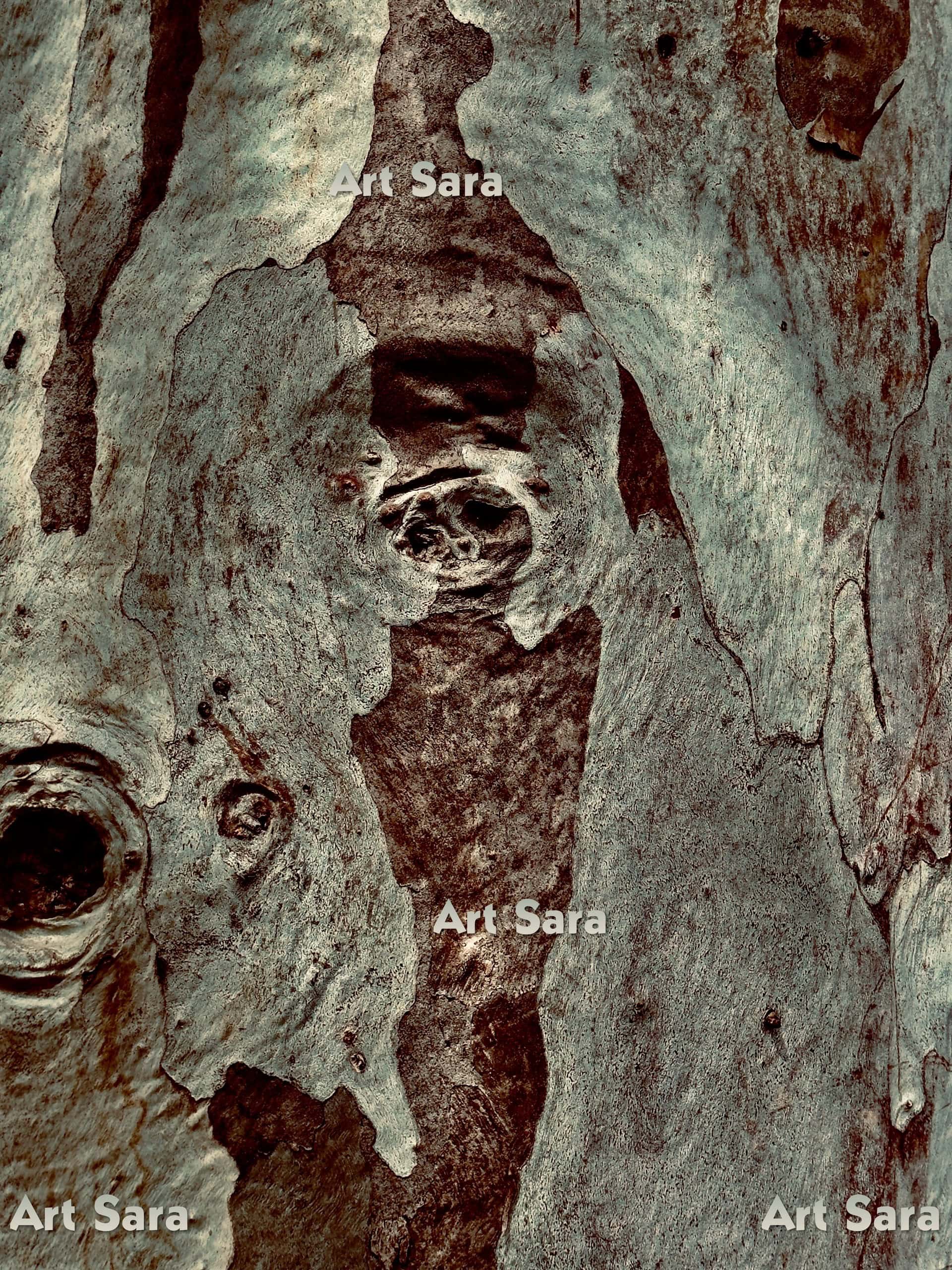 Narcissus reflection, grandiose