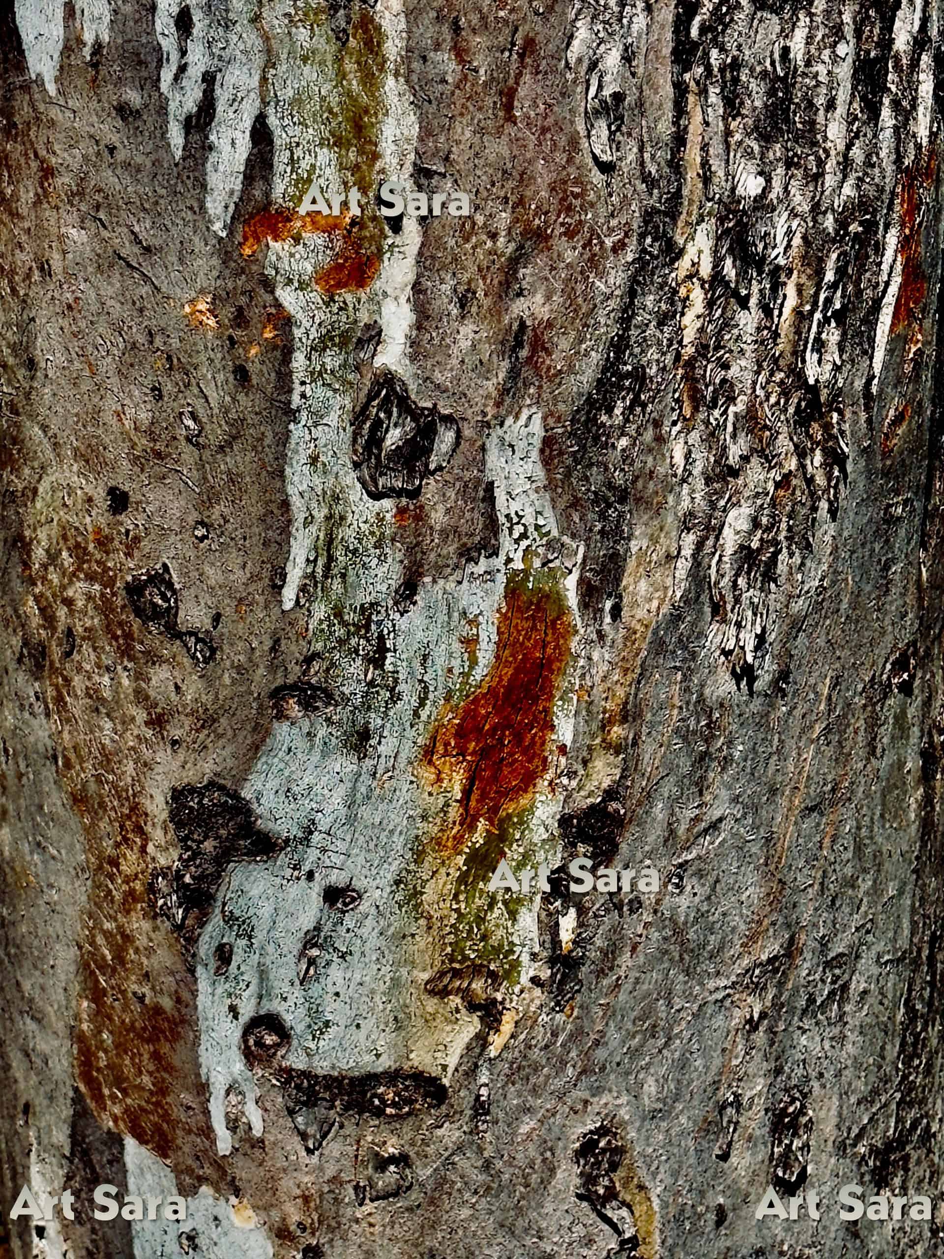 Reflection - Who am I