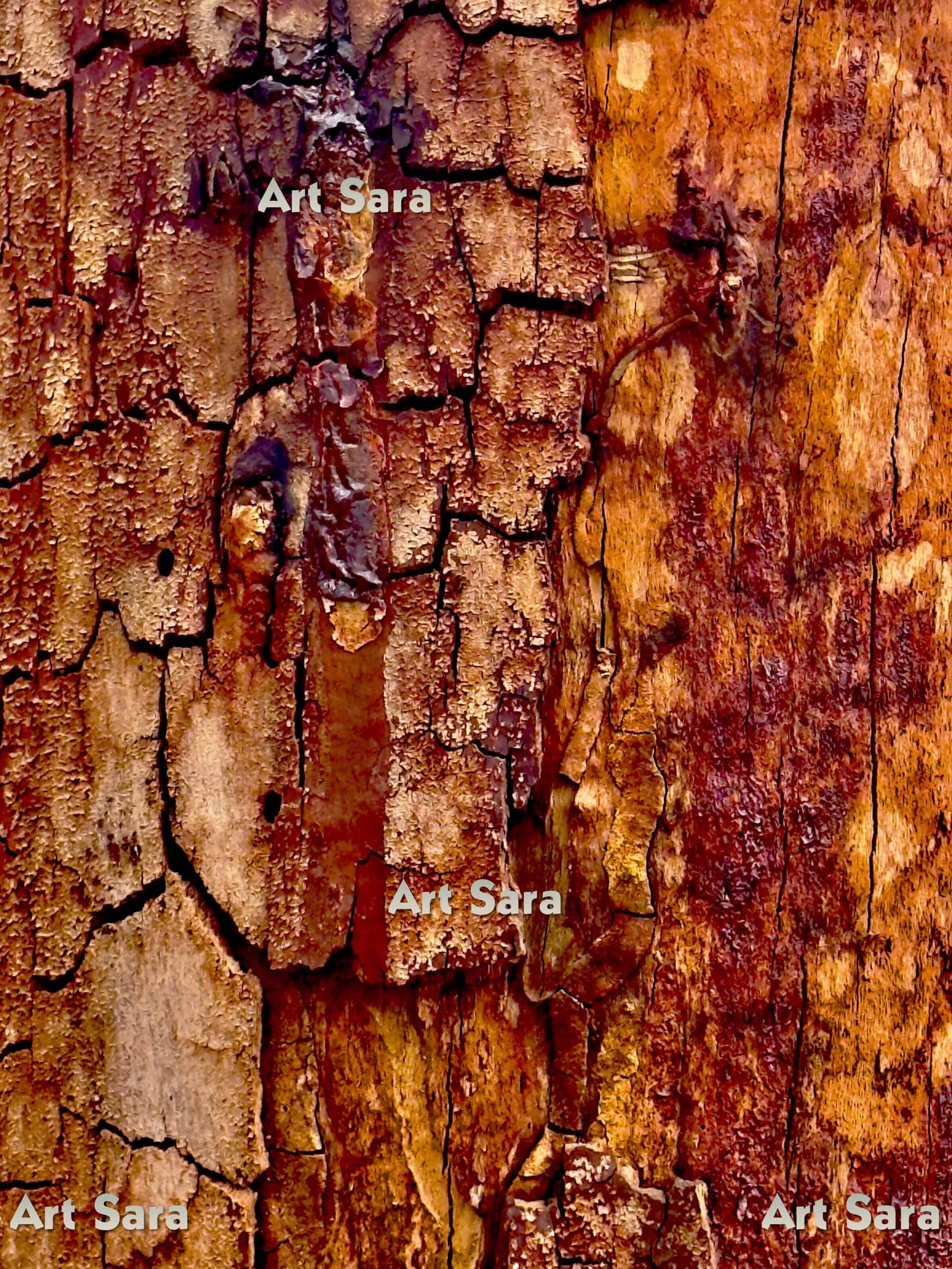 Abstract - Violinist profile portrait, musical