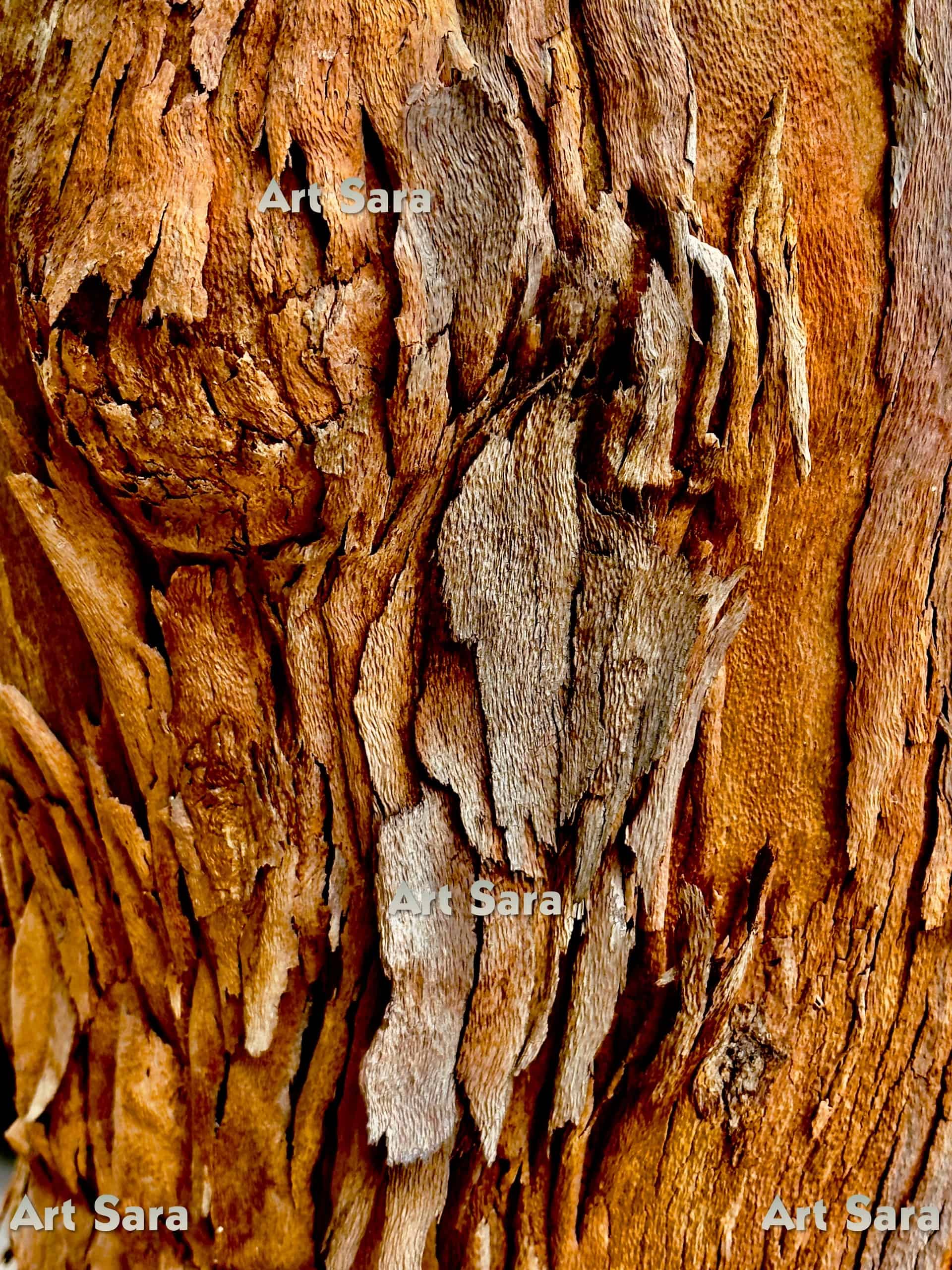 Falling in love, fervent