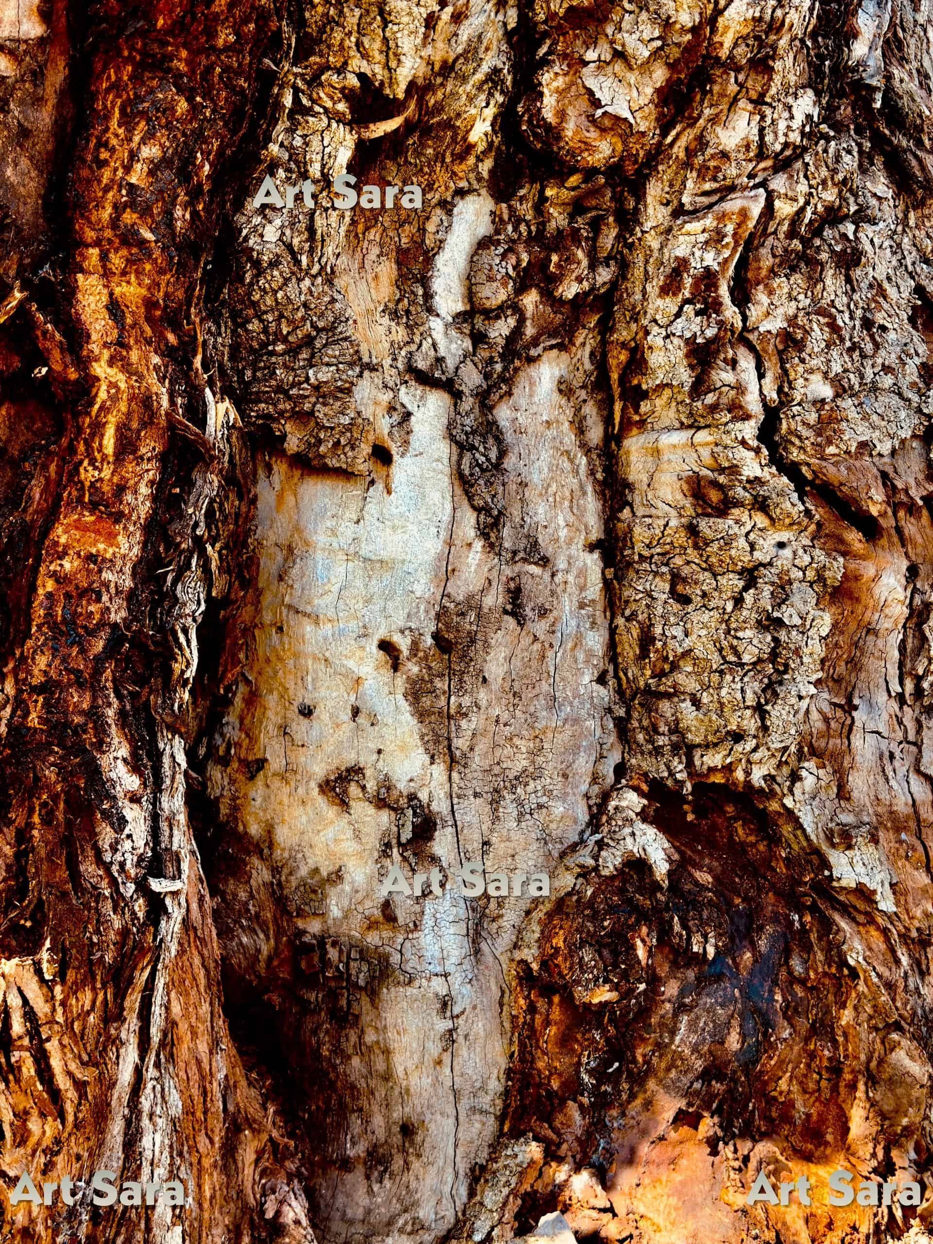 Secret lovers, tender