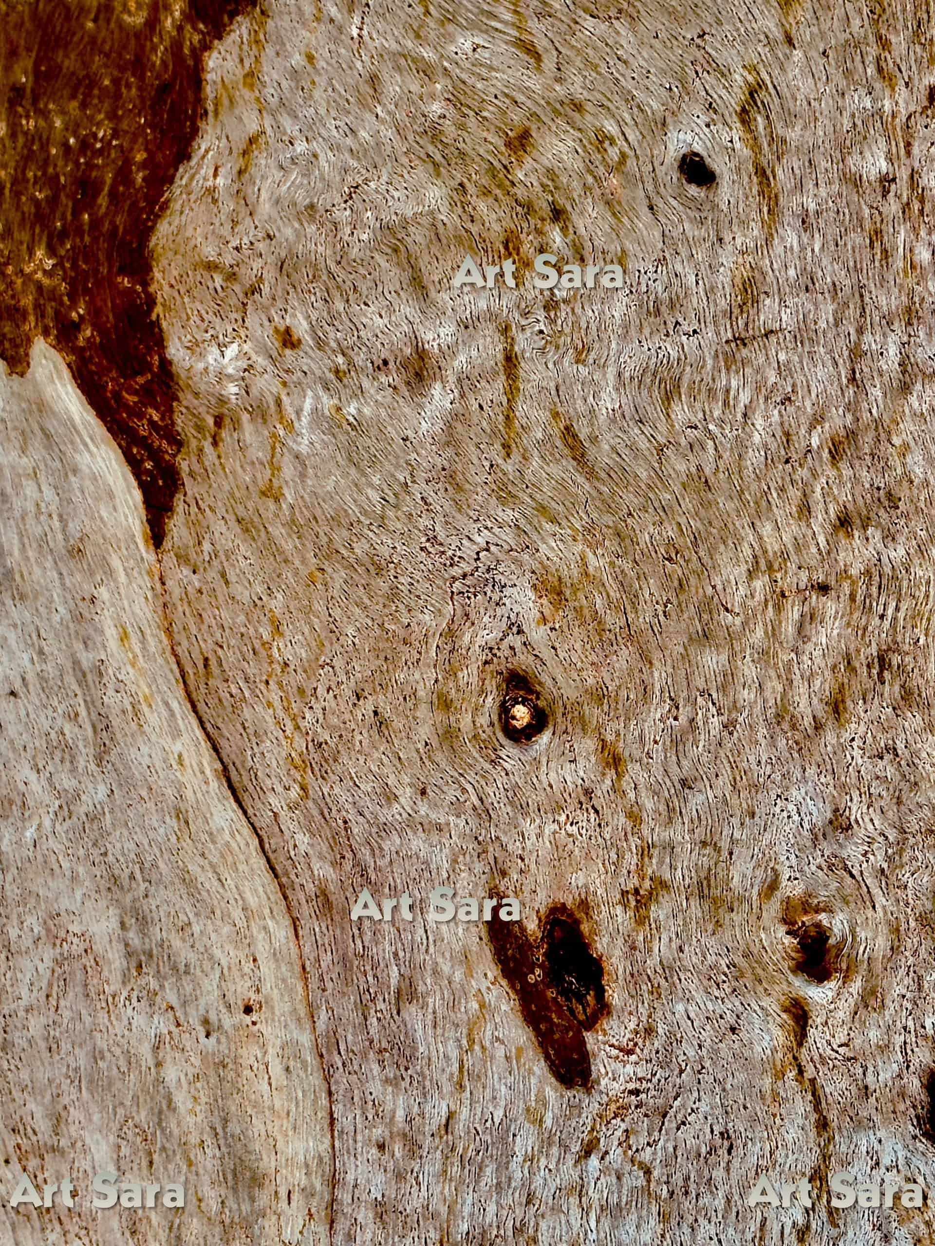 Impression of woman, red-headed