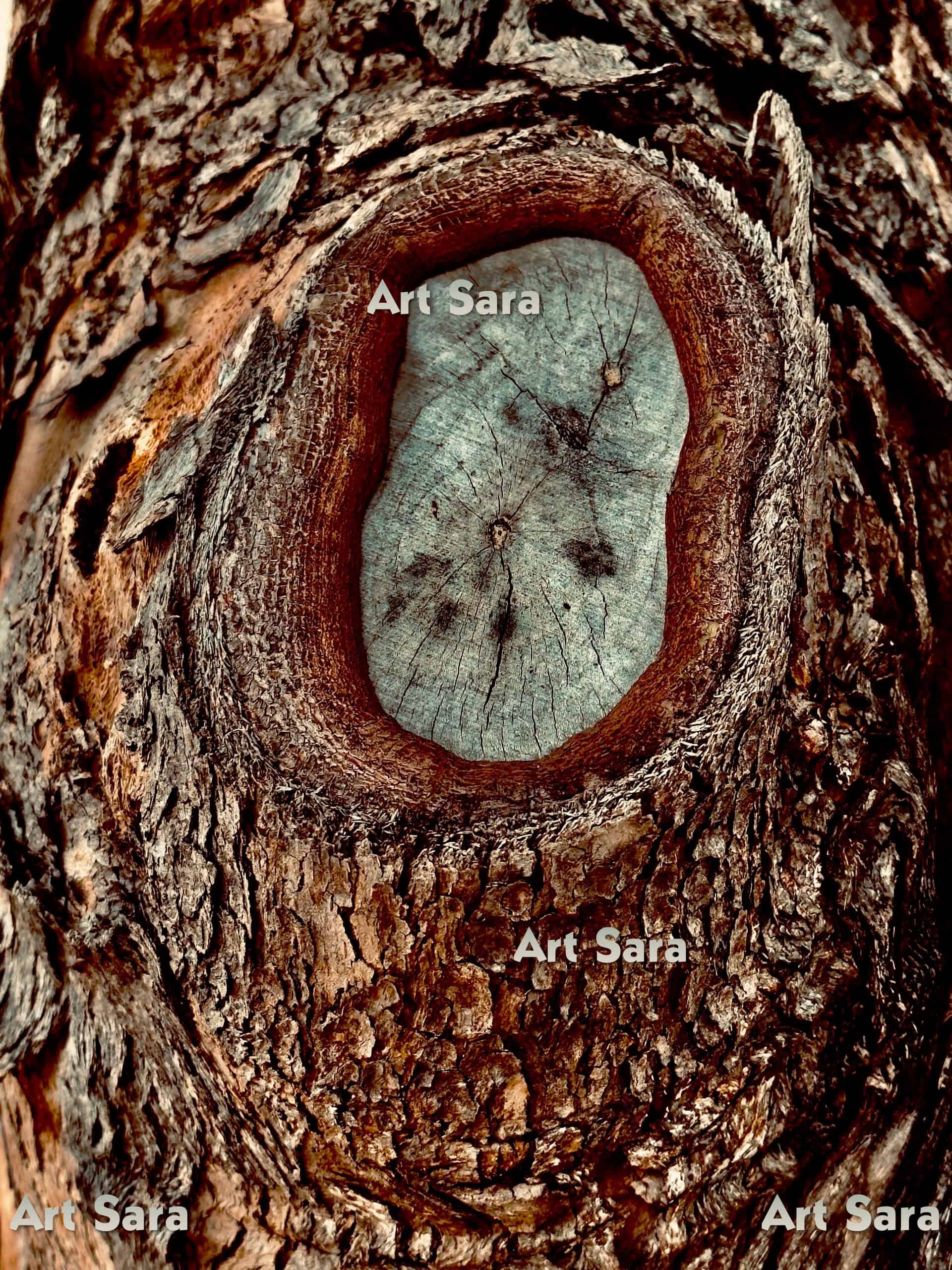 Circle of life, endless