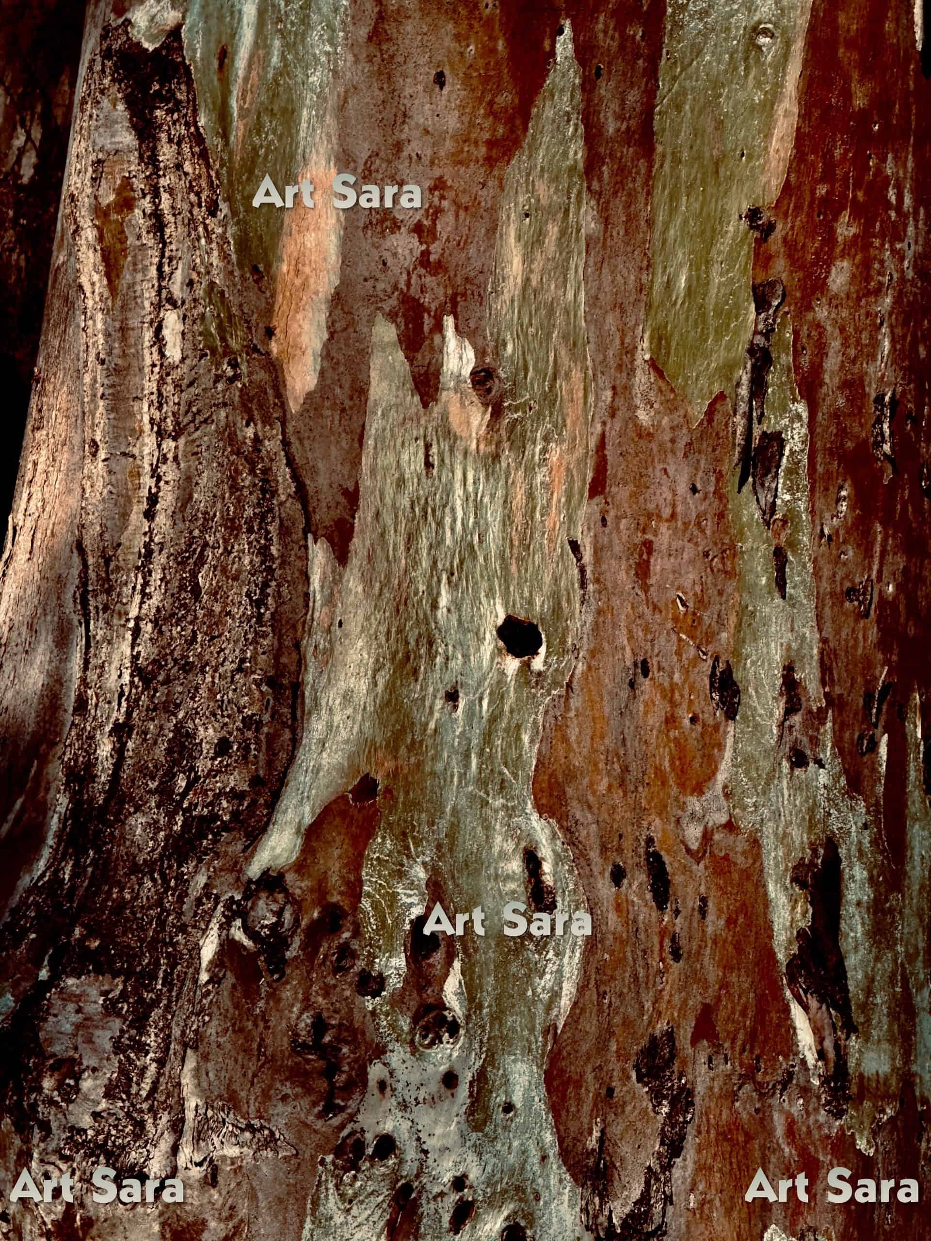 Life in the woods, untamed