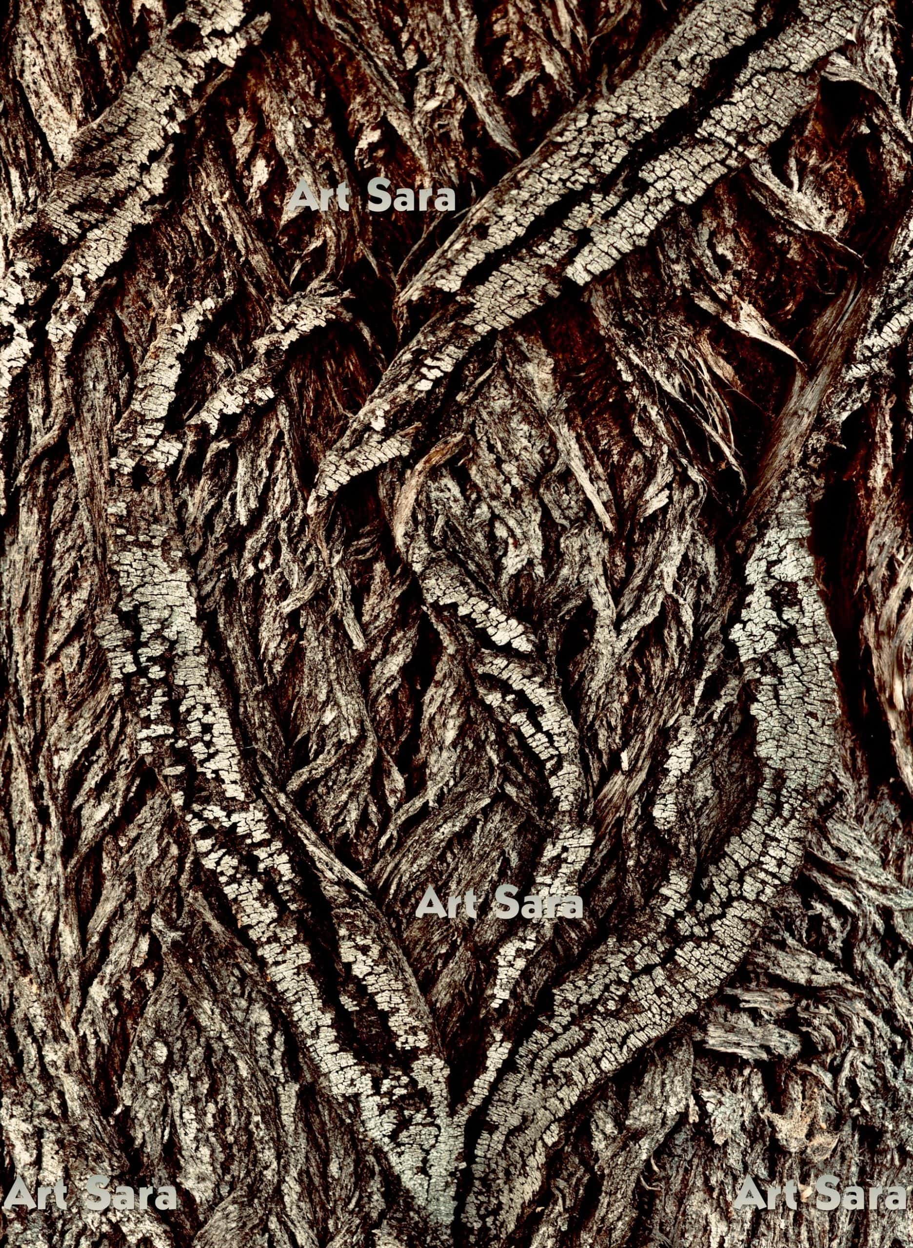 Tender heart, velvety