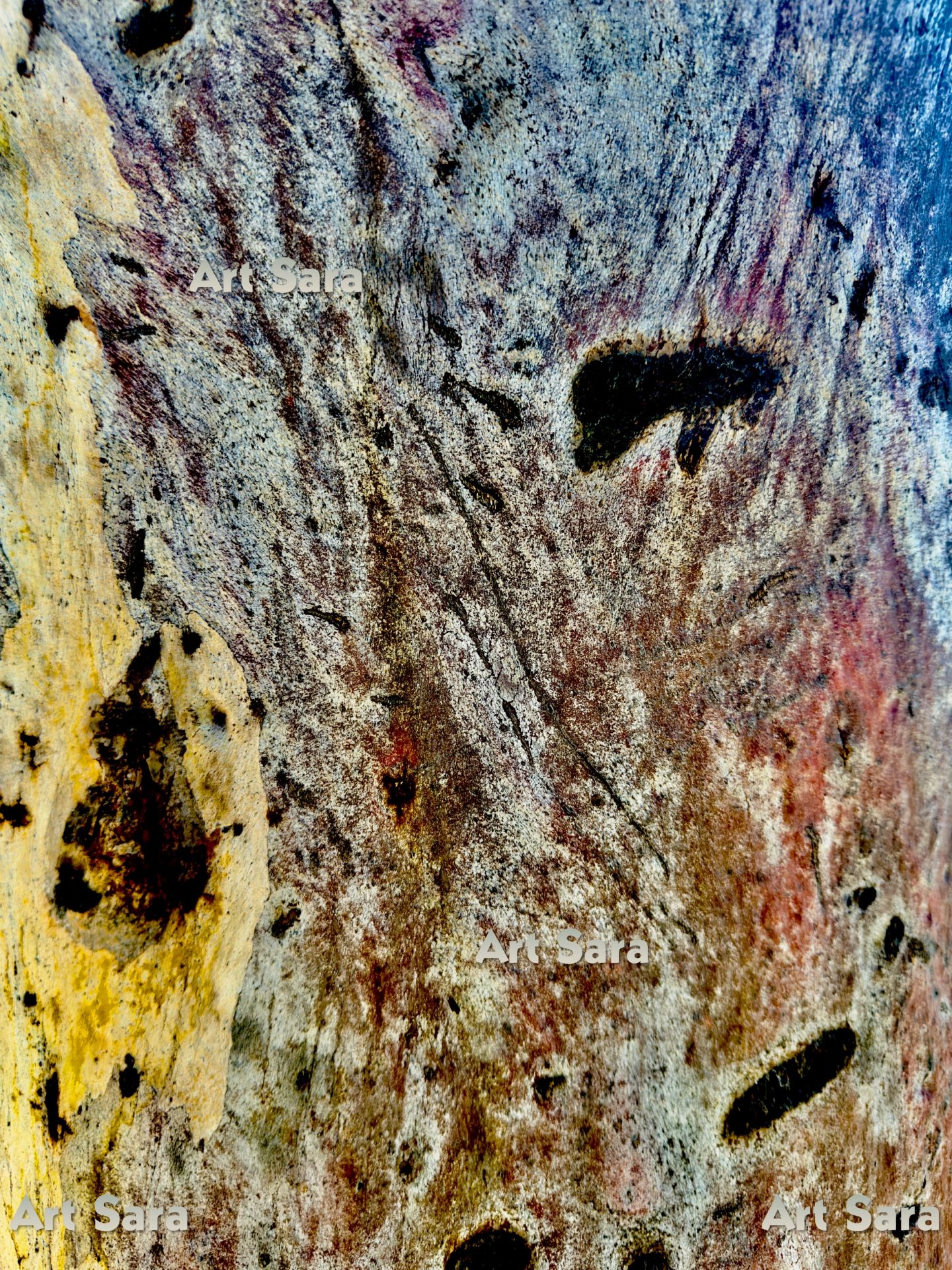 The eternal in my mind, evanescent