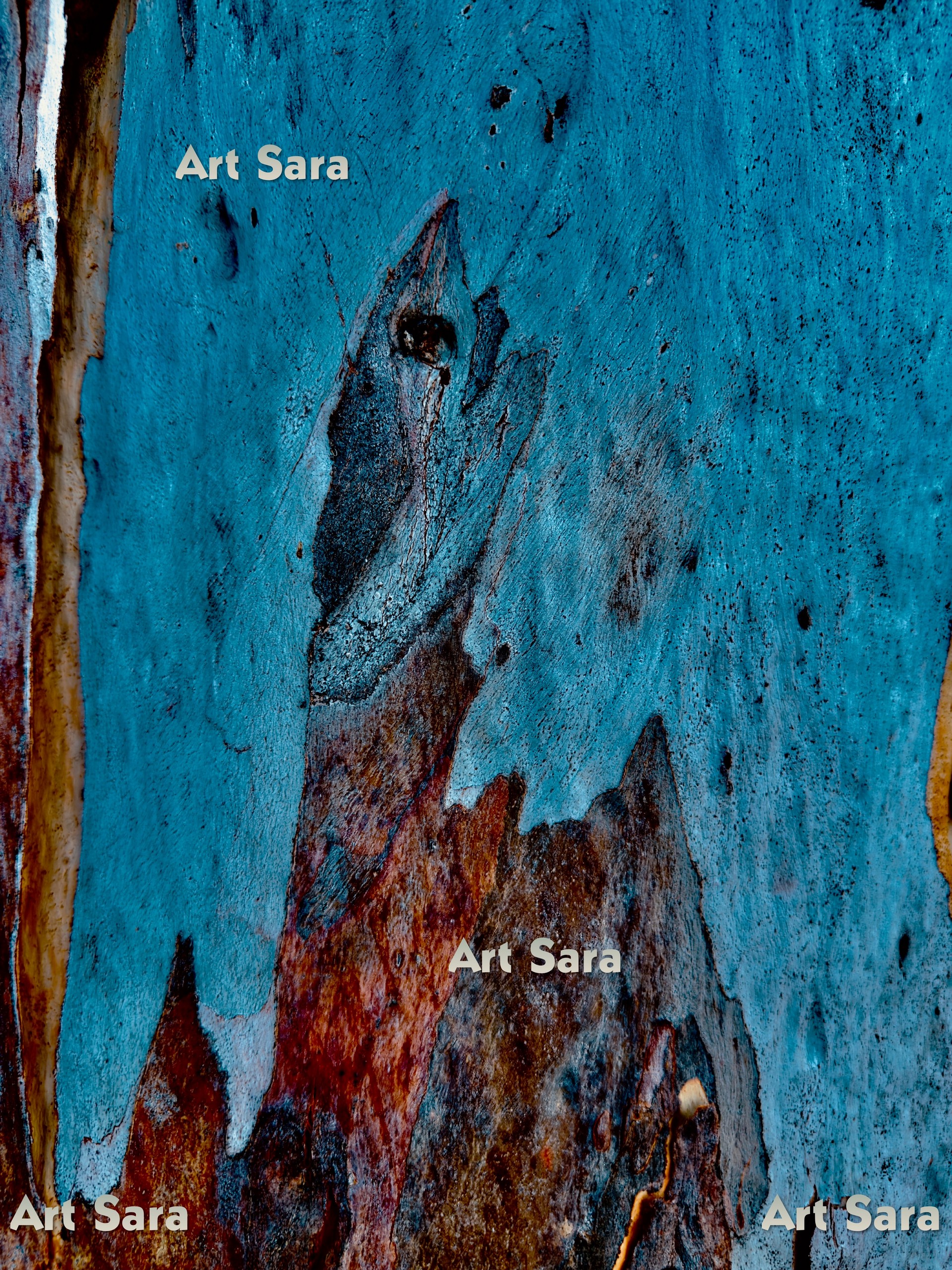 Love’s embrace, affectionate