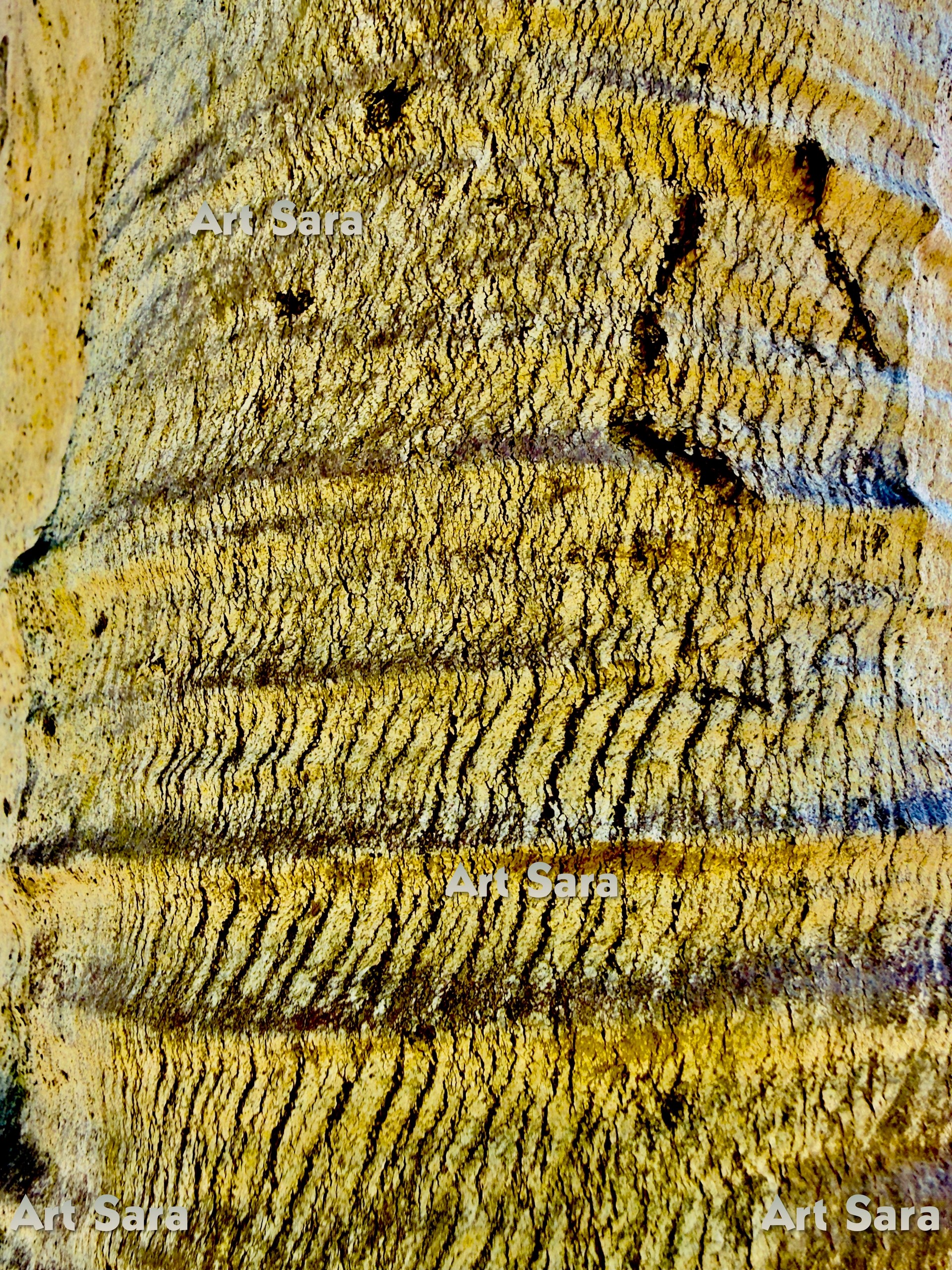 Unfurling shadows, silken