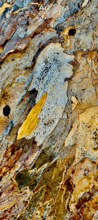 293b6fc337dbd79d1e8d5a1f00f5ab716d7d2fd0