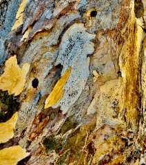 293b6fc337dbd79d1e8d5a1f00f5ab716d7d2fd0