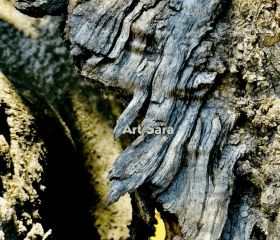 3693aaf54f29ac536ec2090a502bb83d06aa7c52