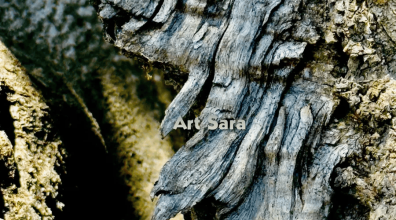 3693aaf54f29ac536ec2090a502bb83d06aa7c52