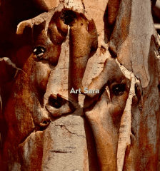 ce83d3b0baccee16938488d1d0d364f8e60383b1