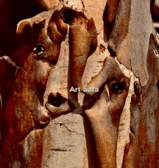 ce83d3b0baccee16938488d1d0d364f8e60383b1