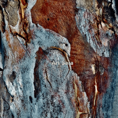 cfe847d907ce42421ccc8b1b3aa821ff83df2fba